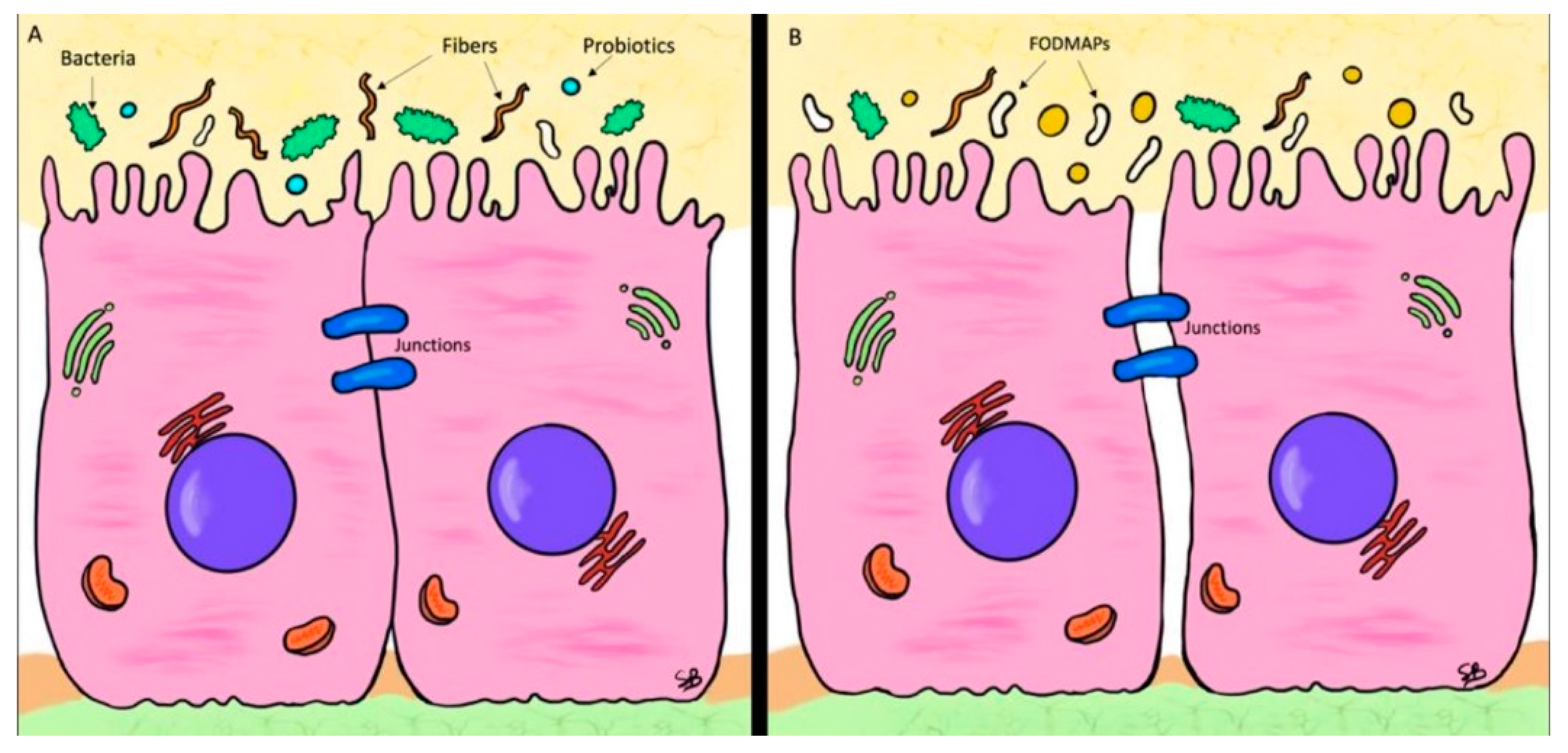 Nutrients 14 01578 g001