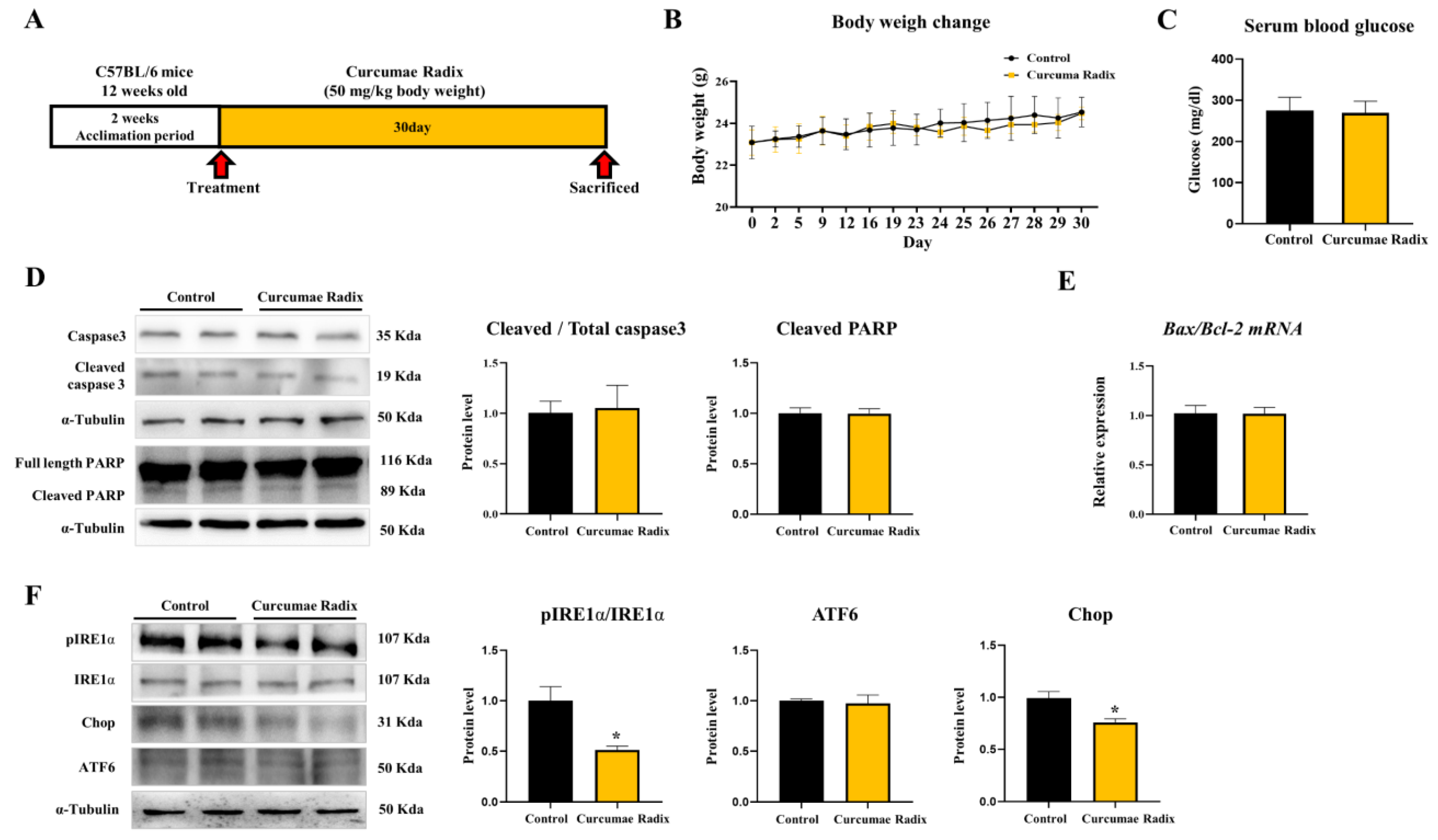 Nutrients 14 01587 g001 Nutrients 14 01587 g001