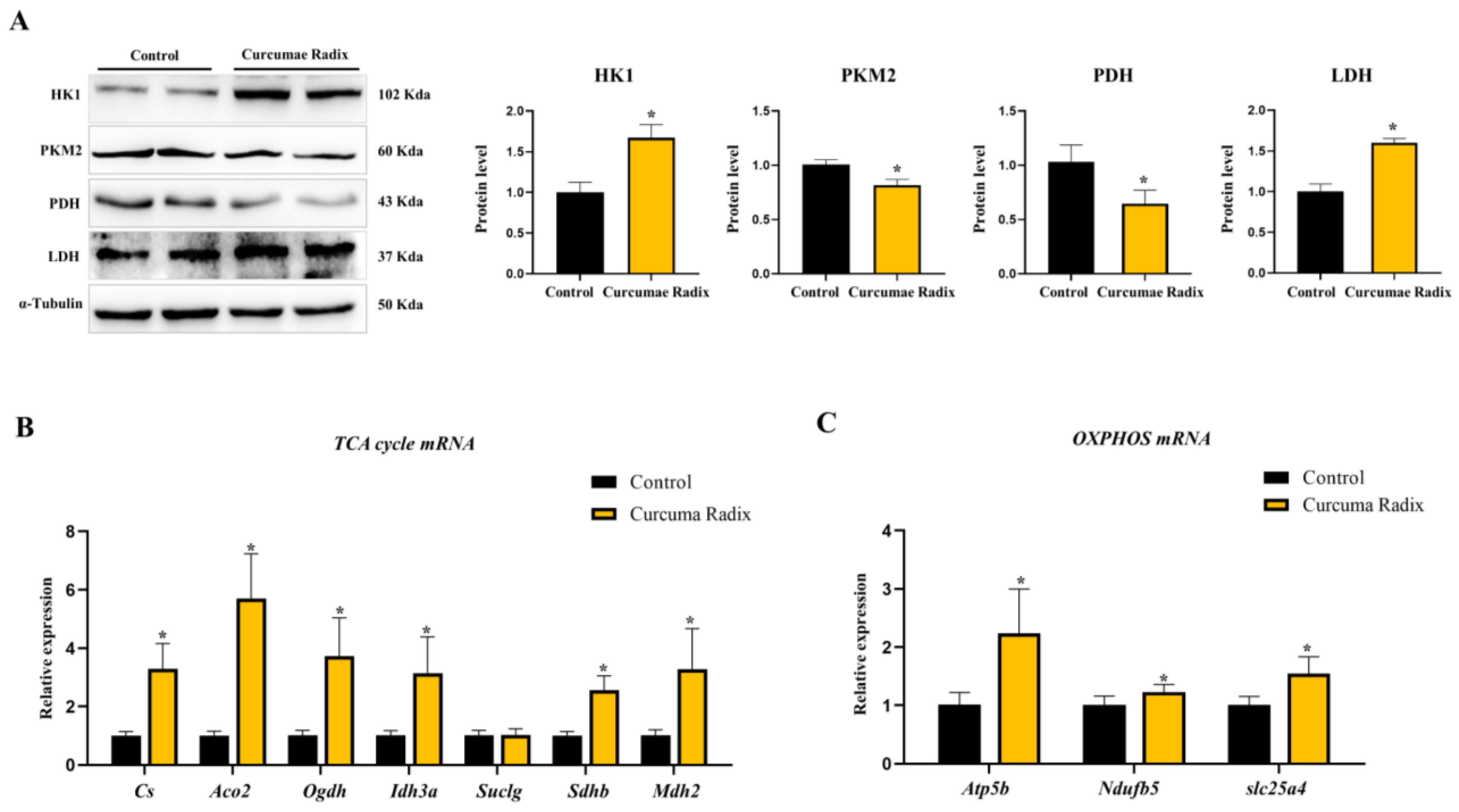 Nutrients 14 01587 g003 Nutrients 14 01587 g003