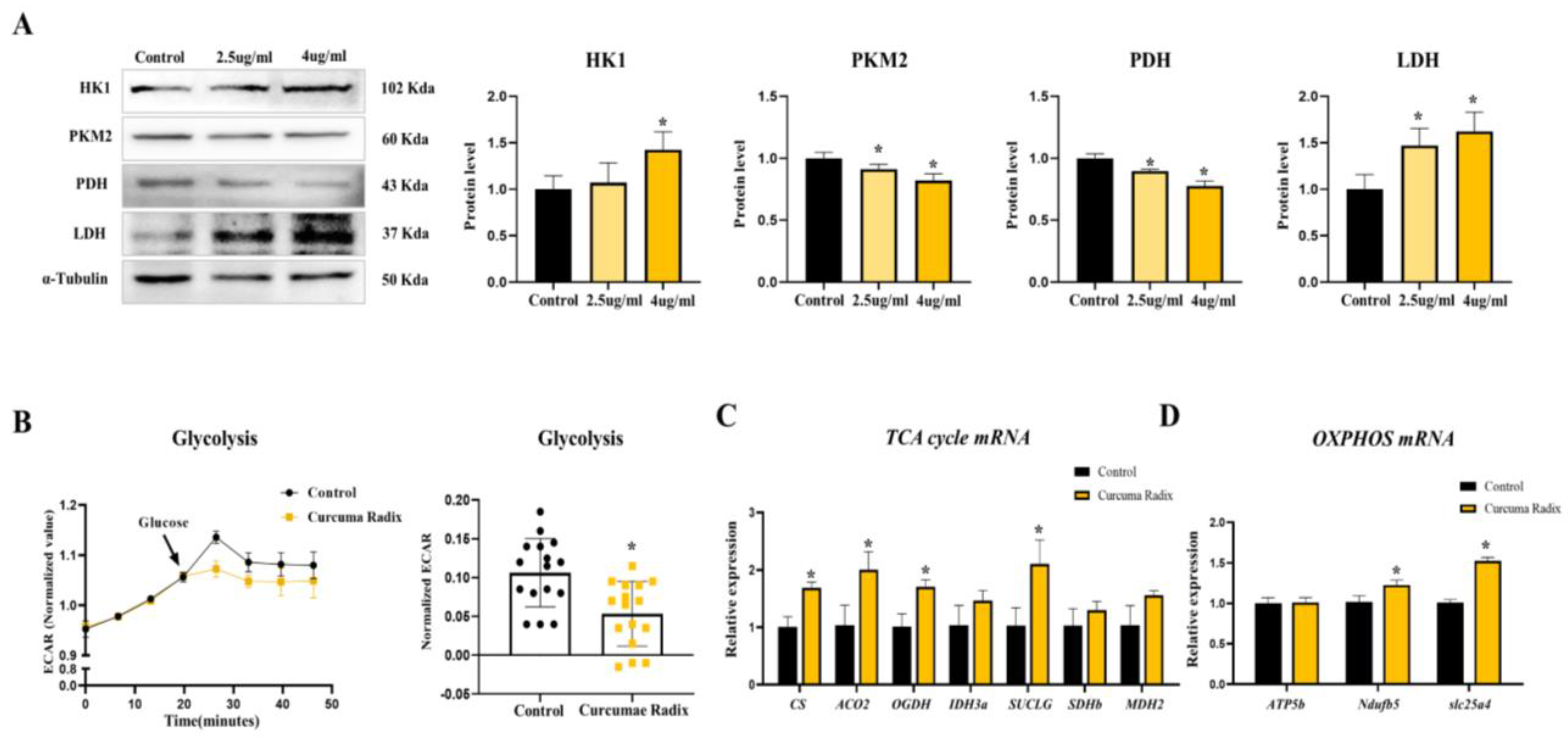 Nutrients 14 01587 g004 Nutrients 14 01587 g004