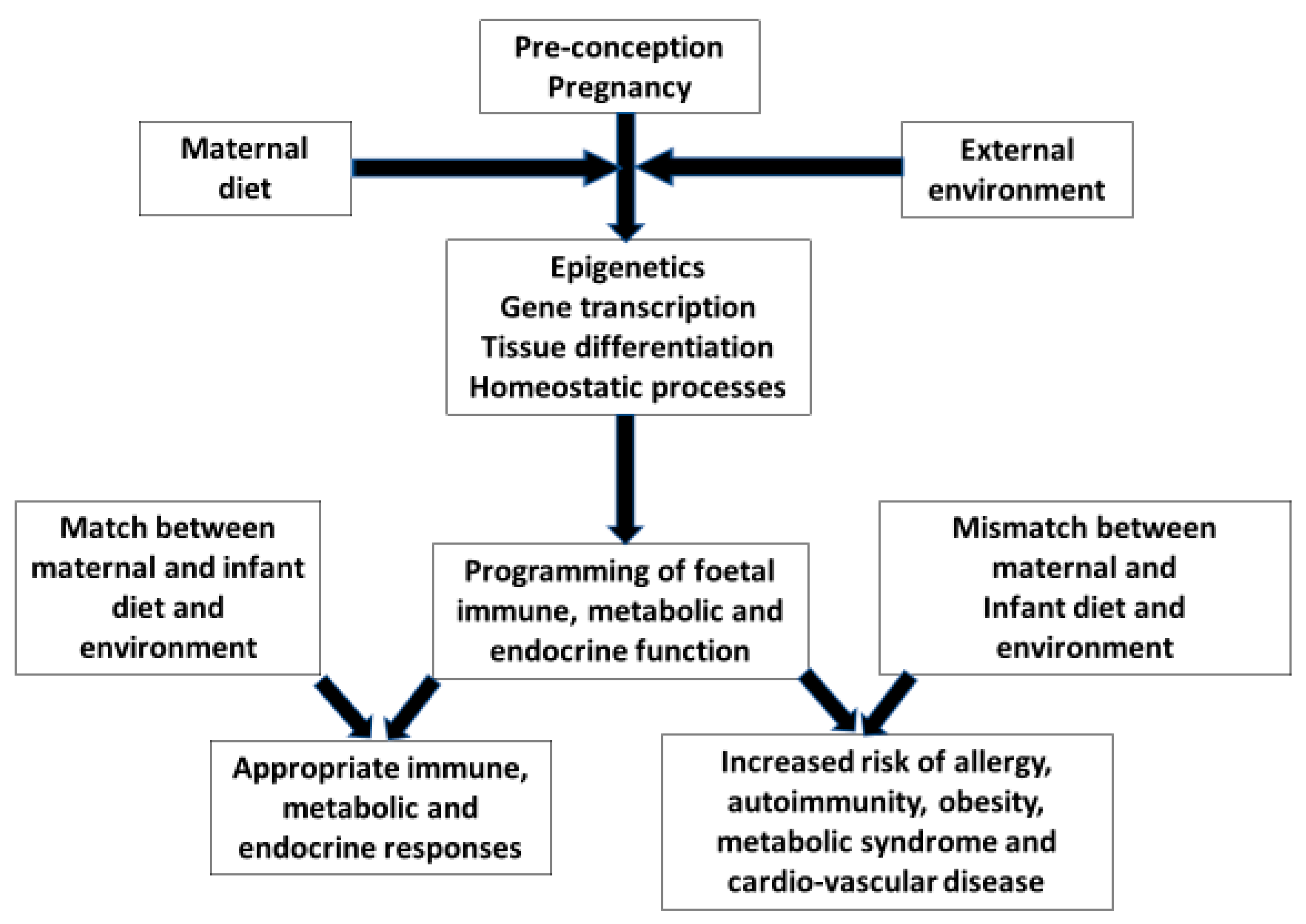 Nutrients 14 01590 g001 Nutrients 14 01590 g001