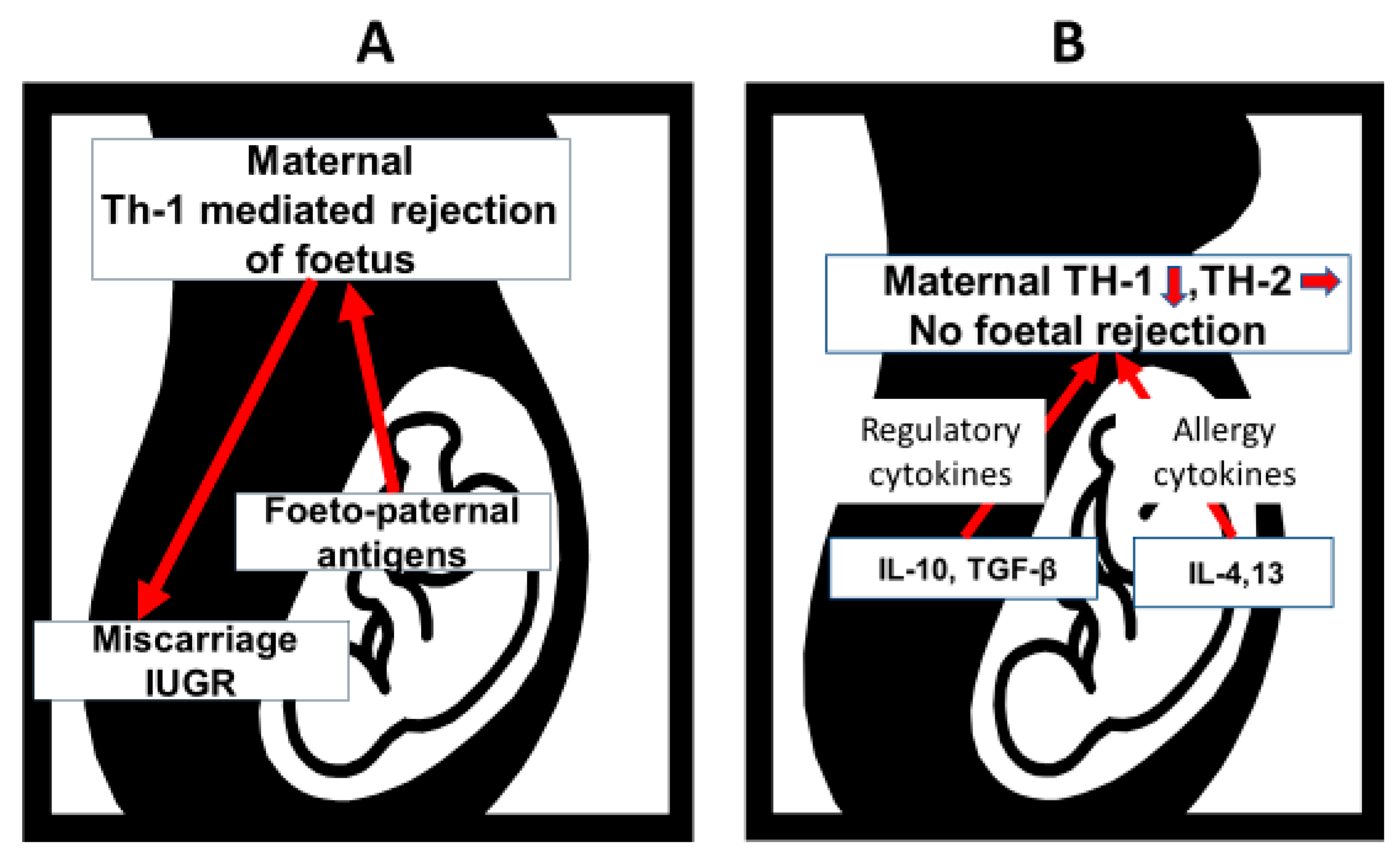 Nutrients 14 01590 g002 Nutrients 14 01590 g002