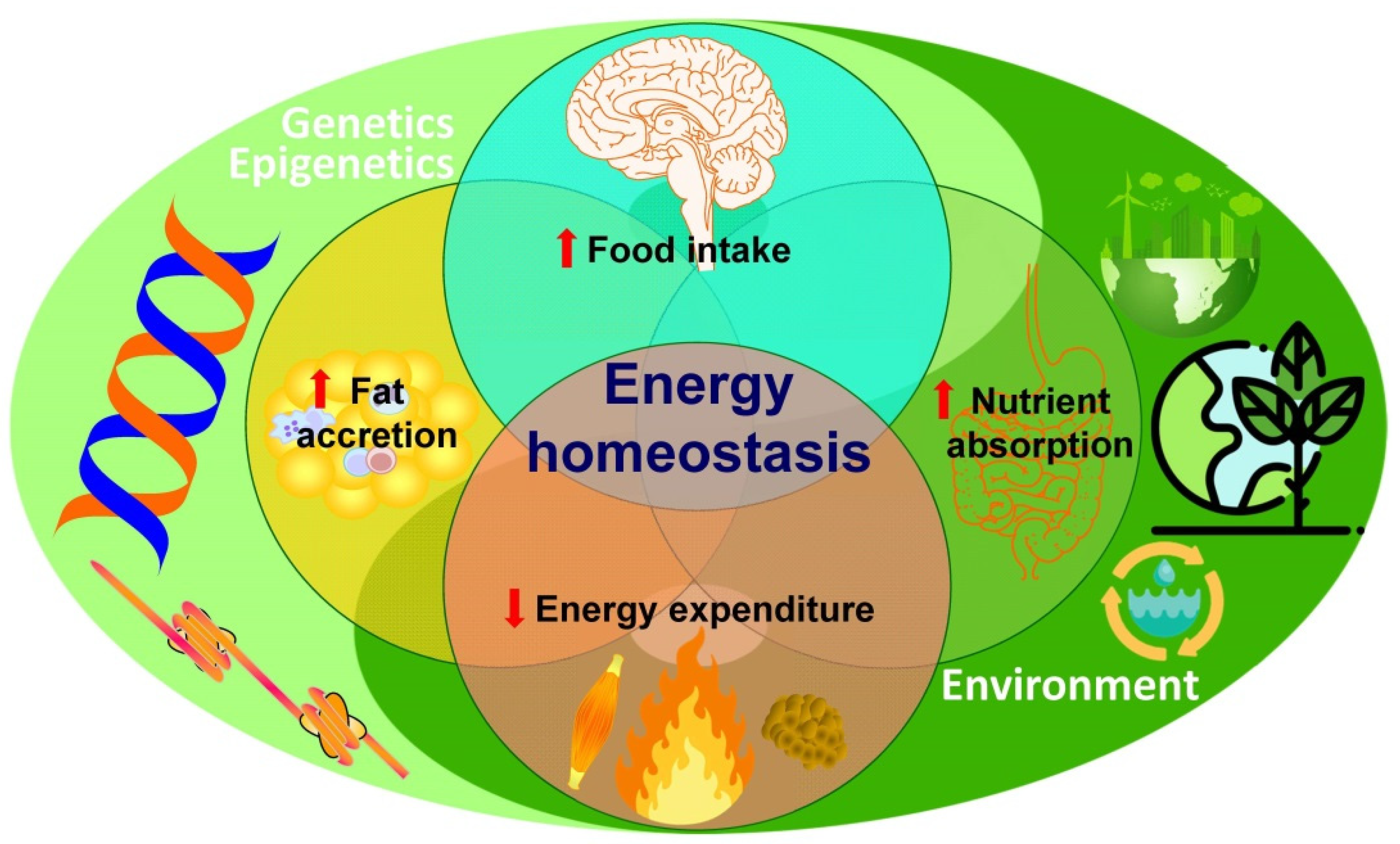 Nutrients 14 01597 g001 Nutrients 14 01597 g001