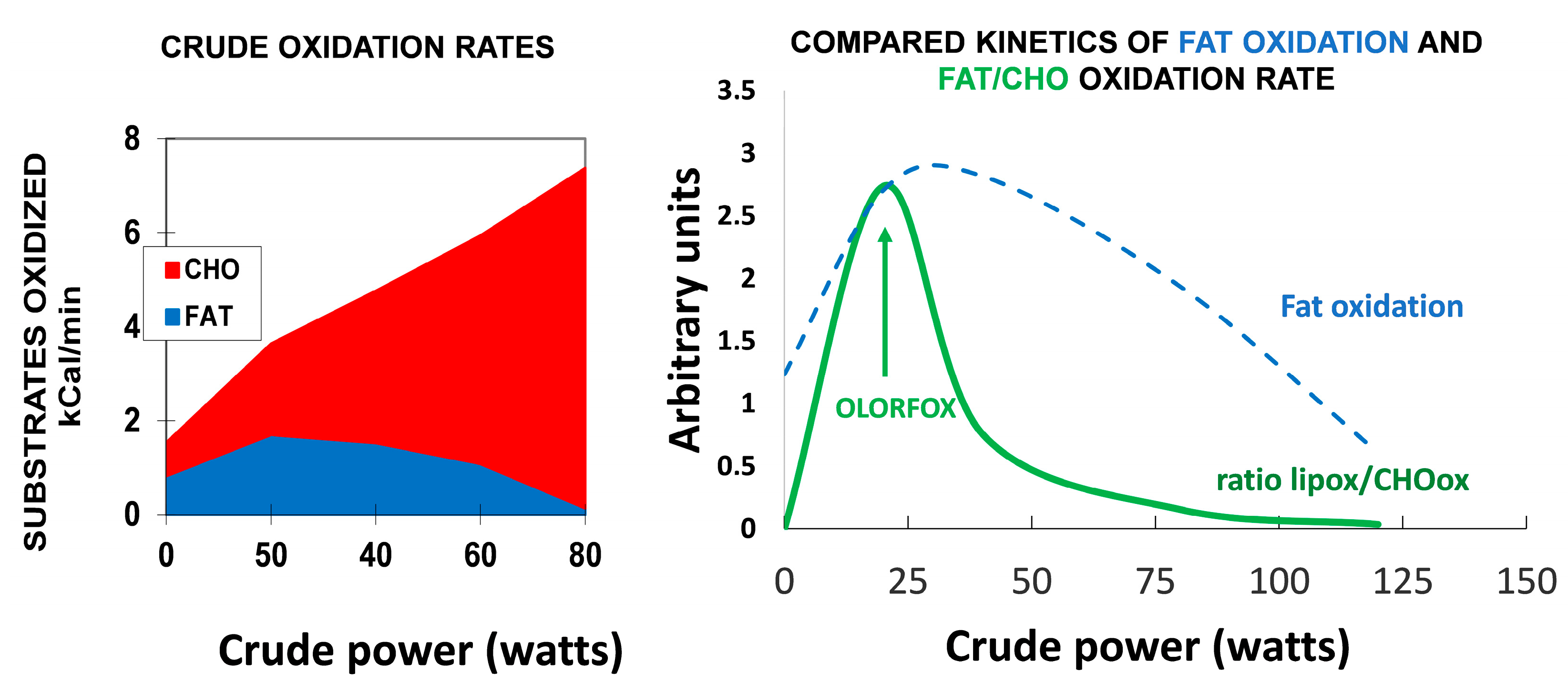 Nutrients 14 01605 g009