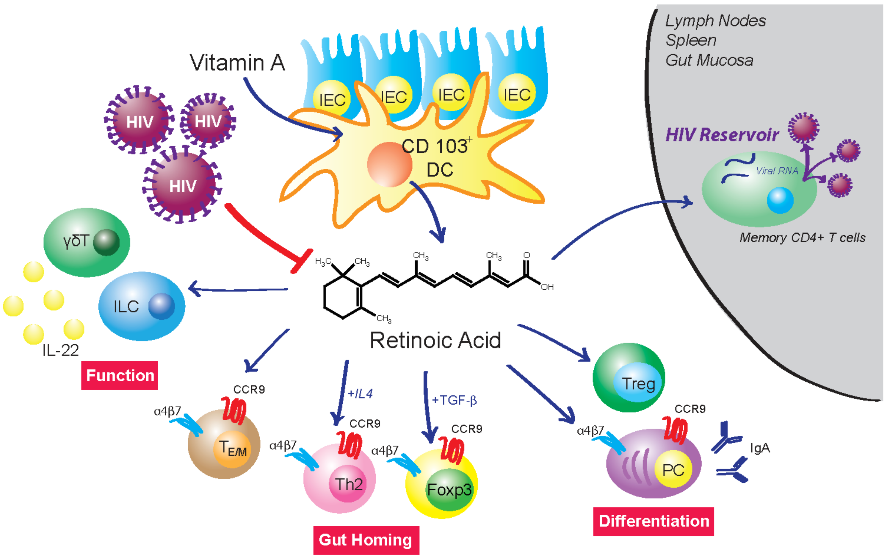 Nutrients 14 01611 g008 Nutrients 14 01611 g008