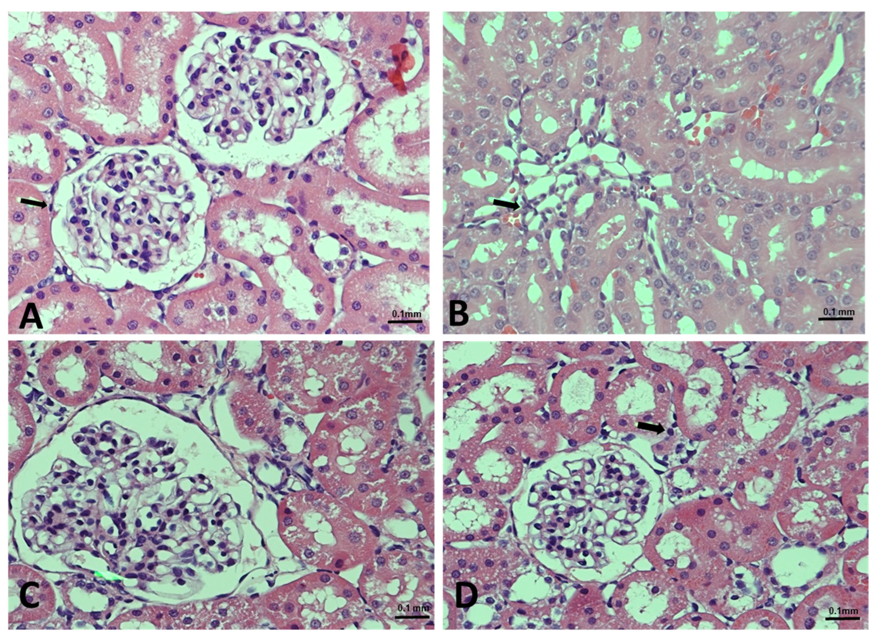 Nutrients 14 01620 g006