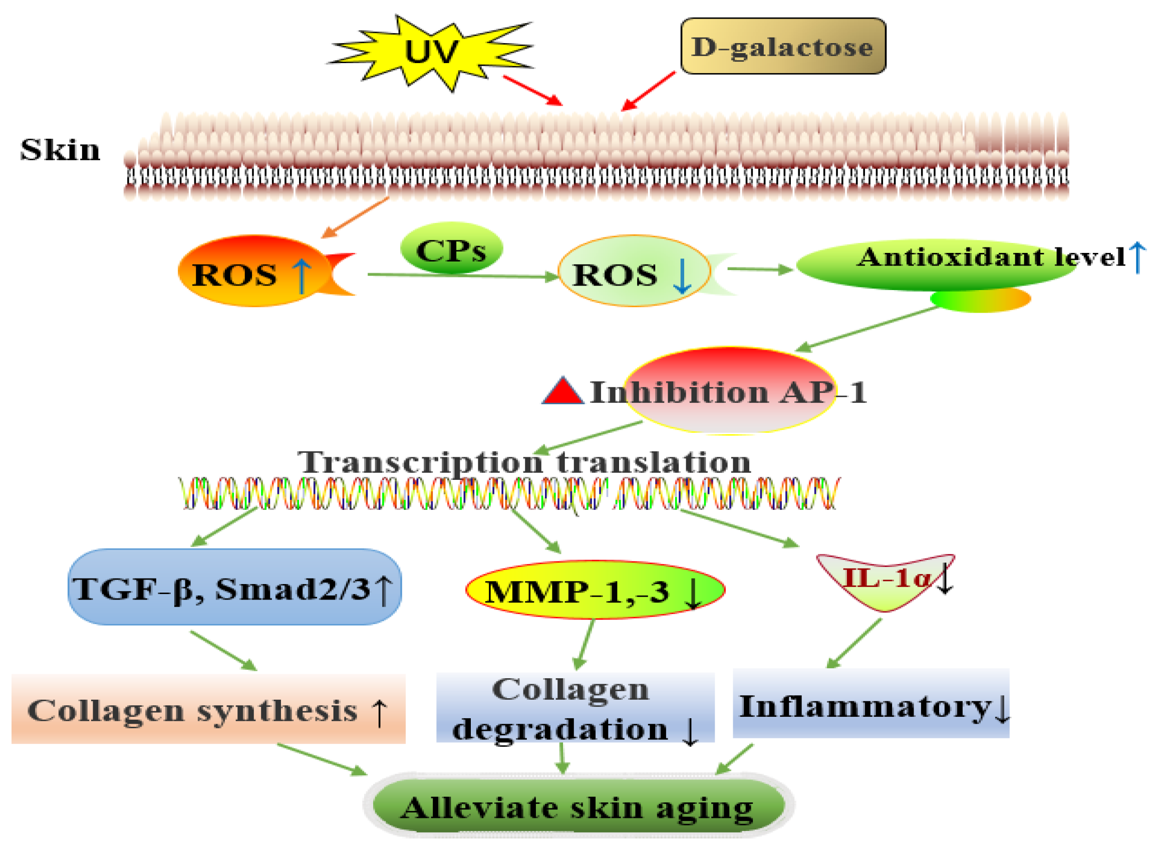 Nutrients 14 01622 g008 Nutrients 14 01622 g008