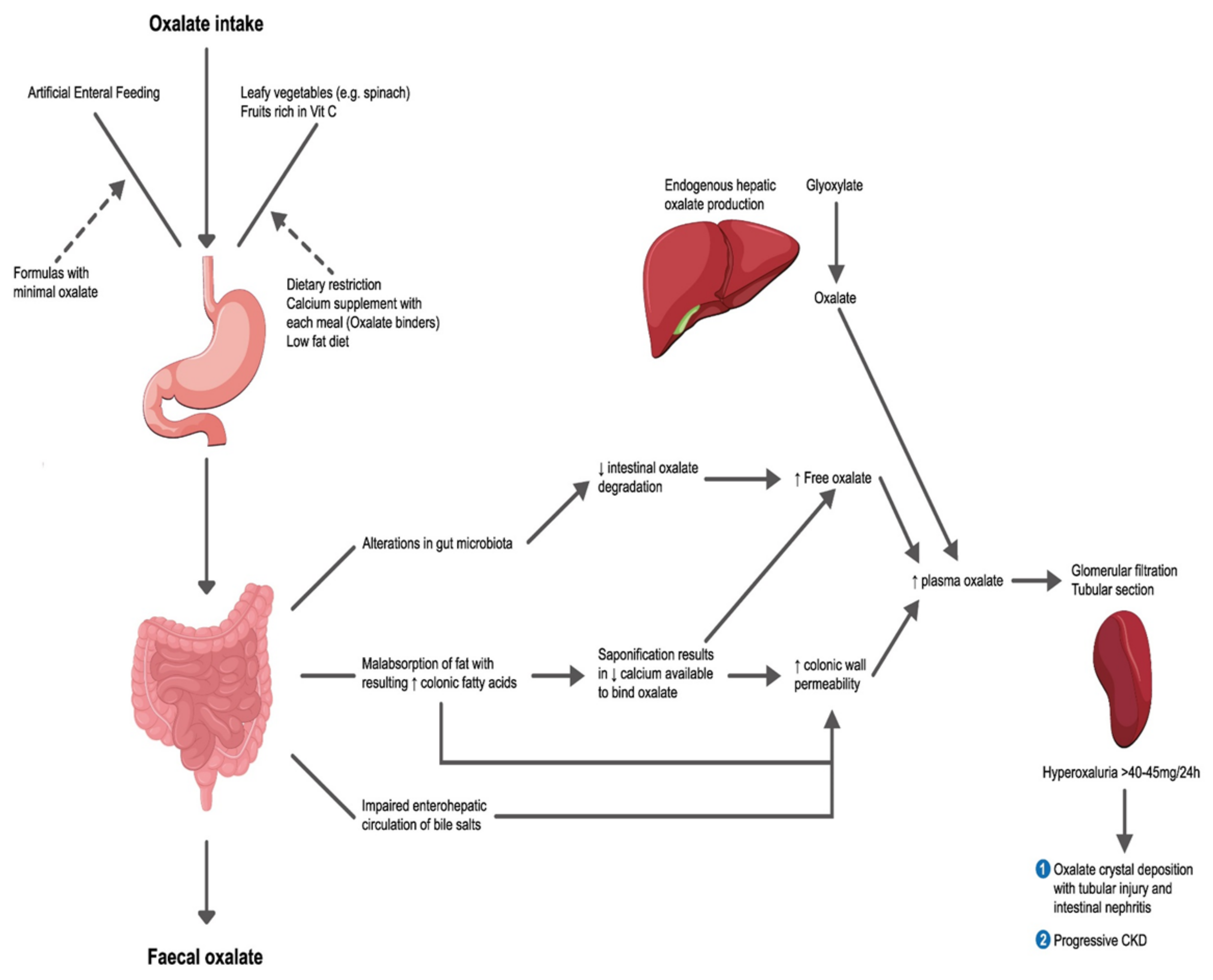 Nutrients 14 01646 g002