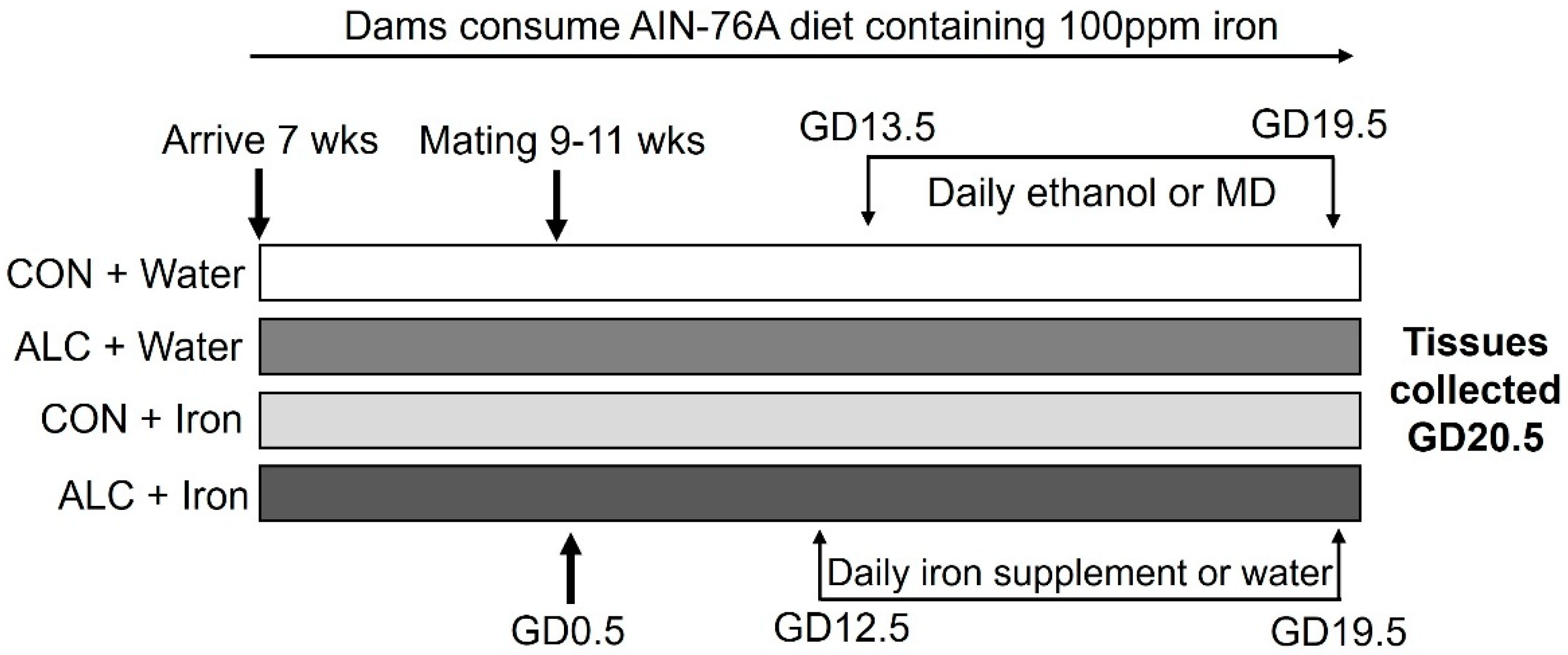 Nutrients 14 01653 g001 550