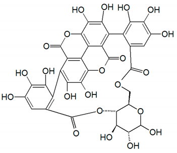 Nutrients 14 01665 i004