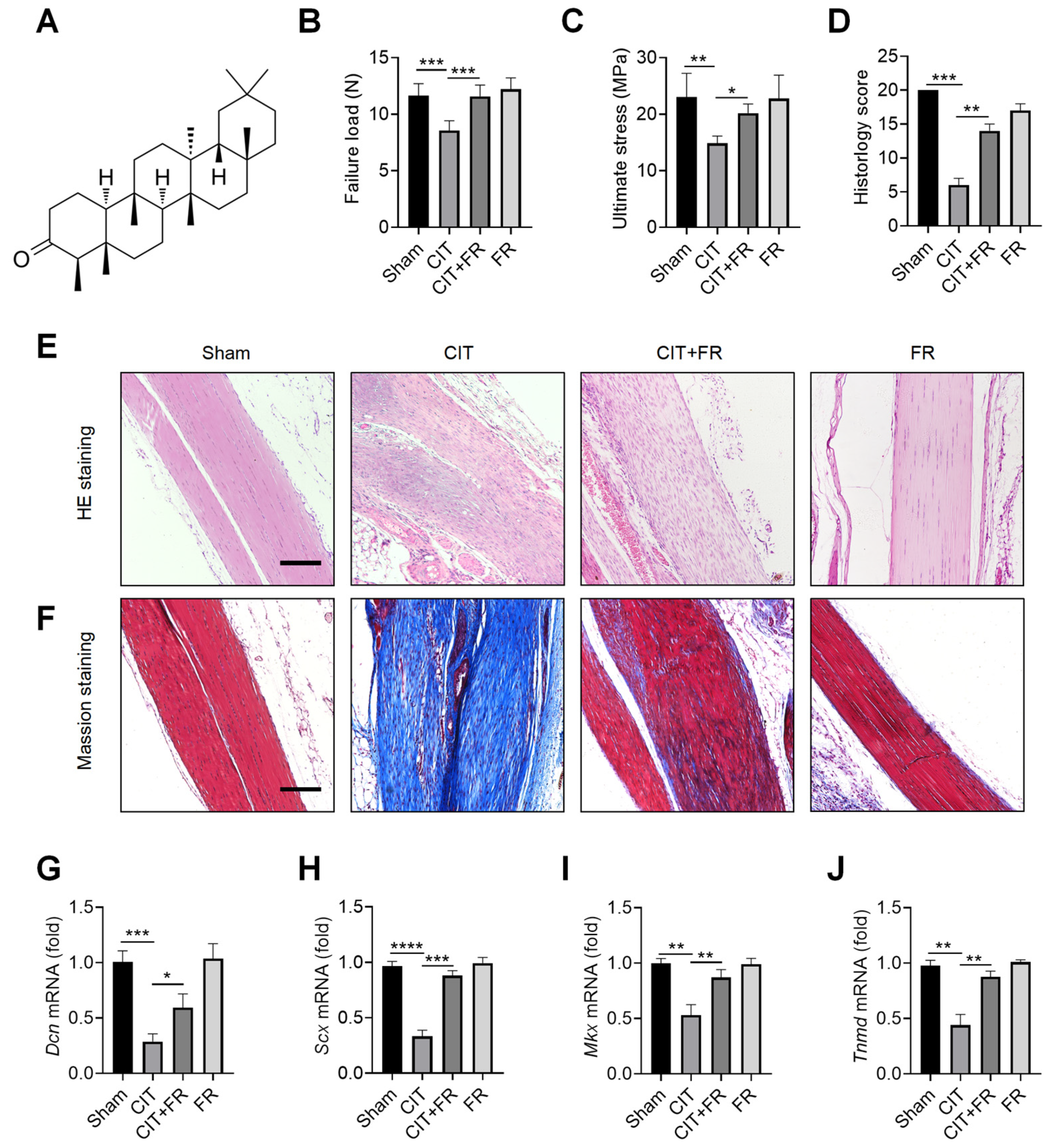 Nutrients 14 01673 g001 550