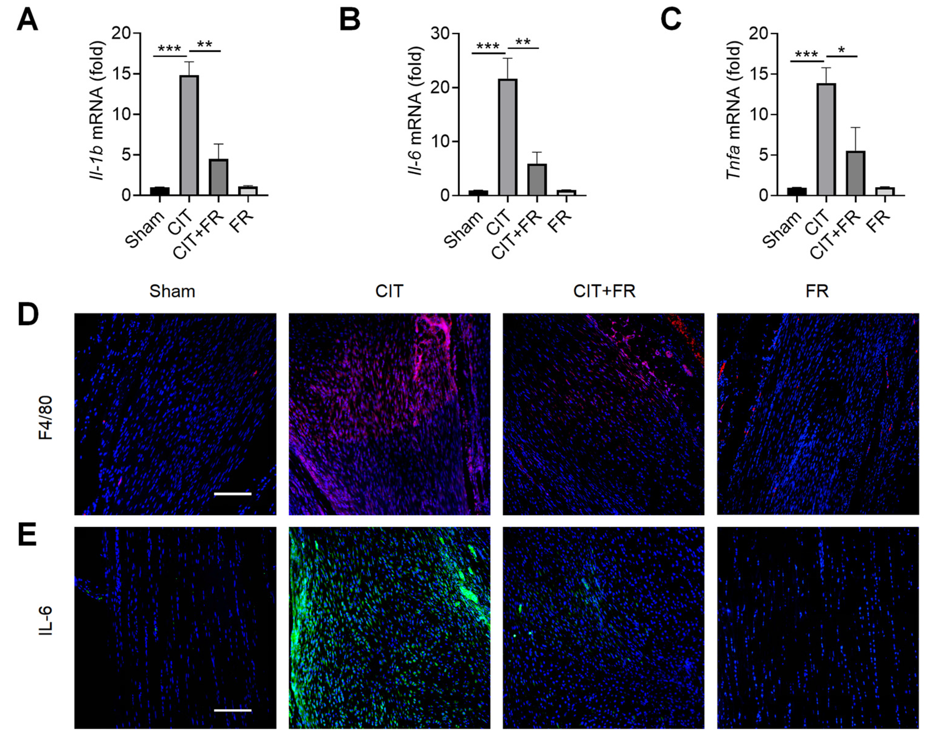 Nutrients 14 01673 g002 550