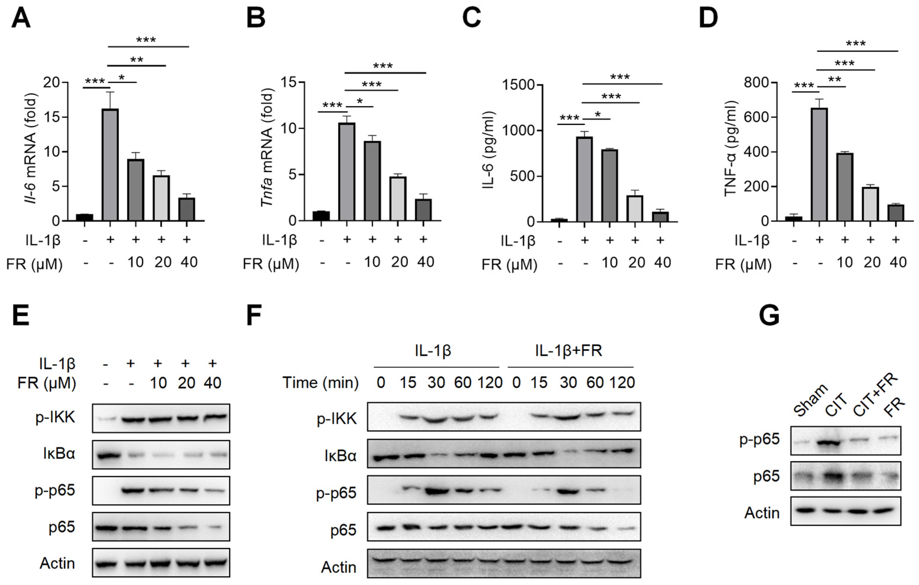 Nutrients 14 01673 g003 550