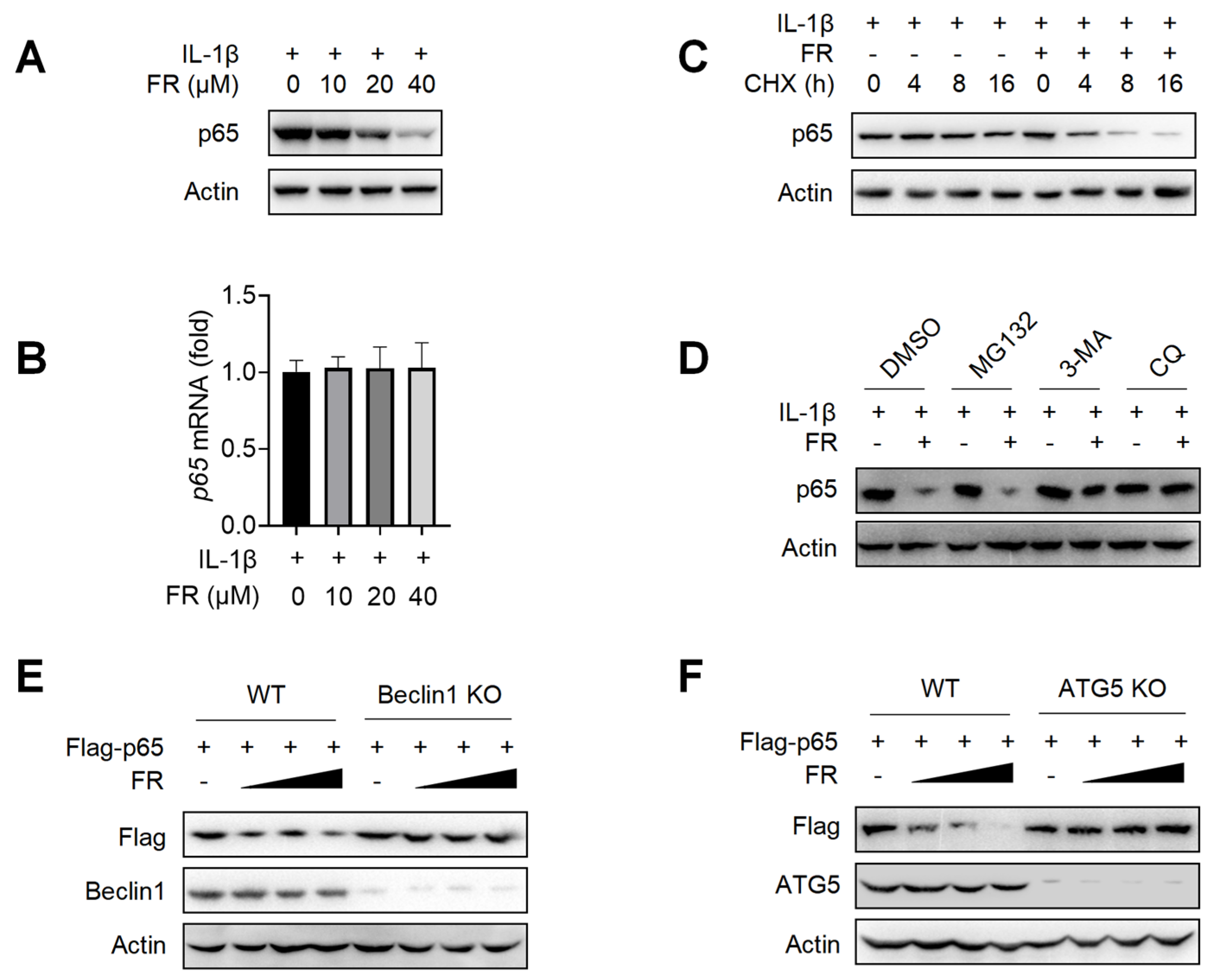 Nutrients 14 01673 g004 550