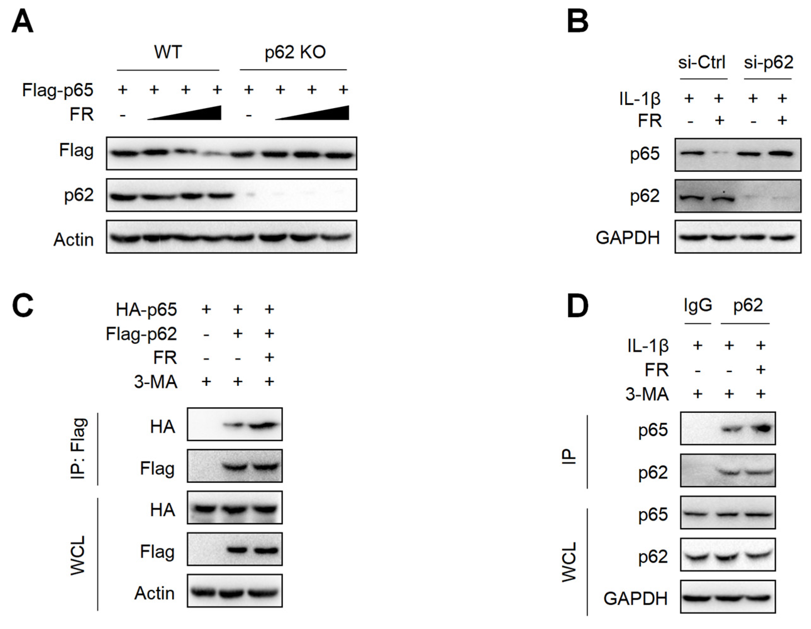 Nutrients 14 01673 g005 550