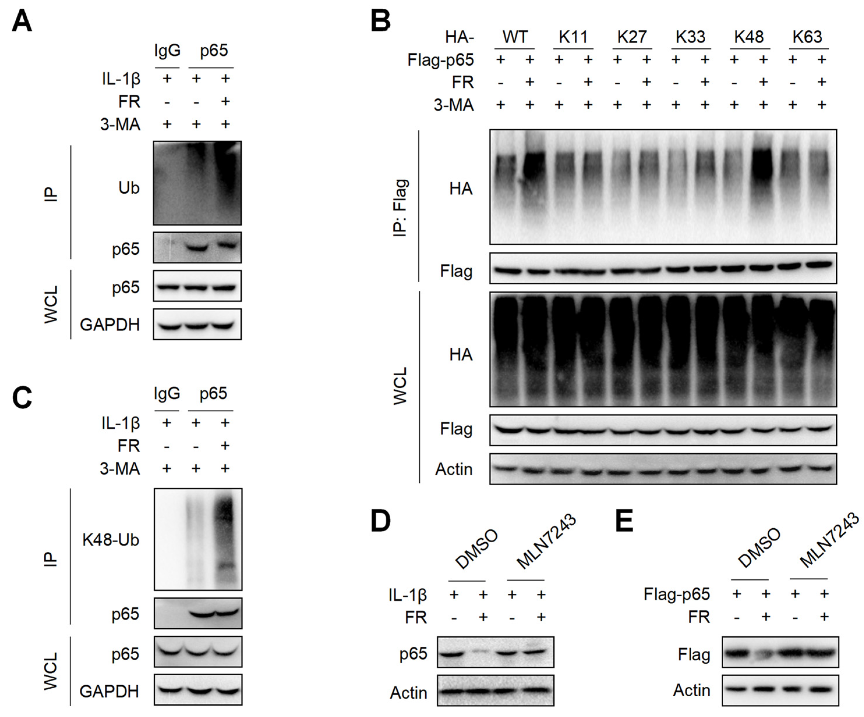 Nutrients 14 01673 g006 550
