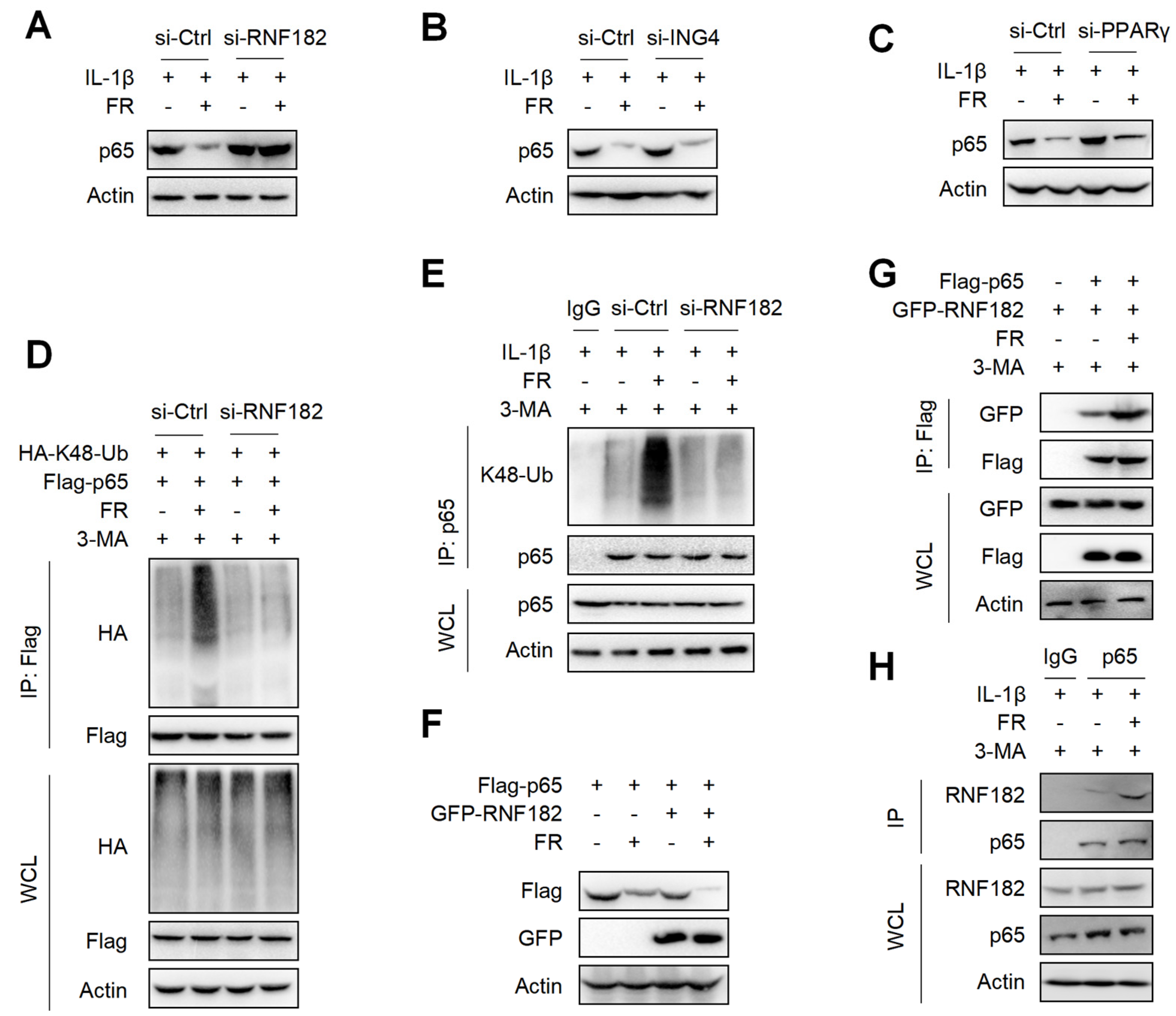 Nutrients 14 01673 g007 550