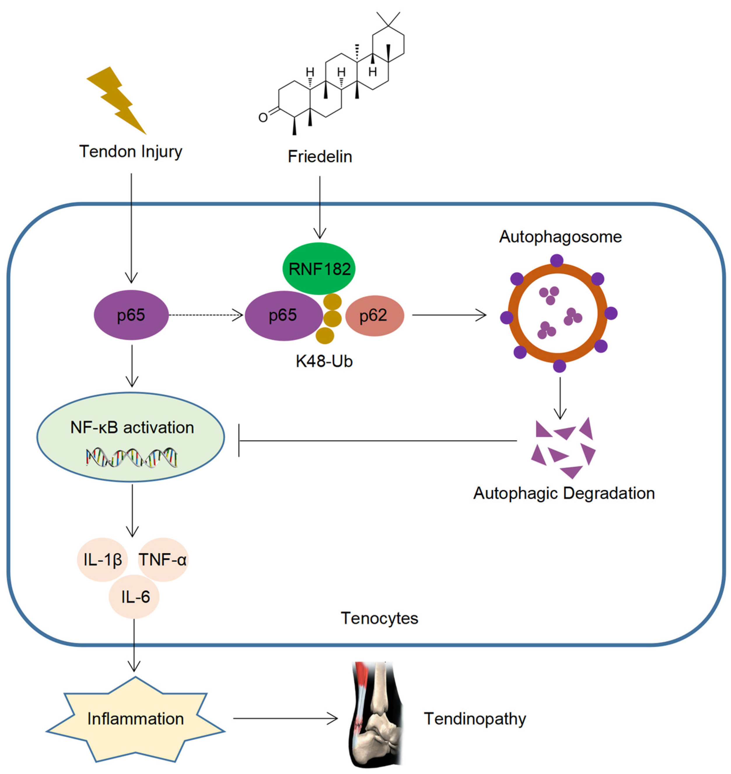 Nutrients 14 01673 g008 550