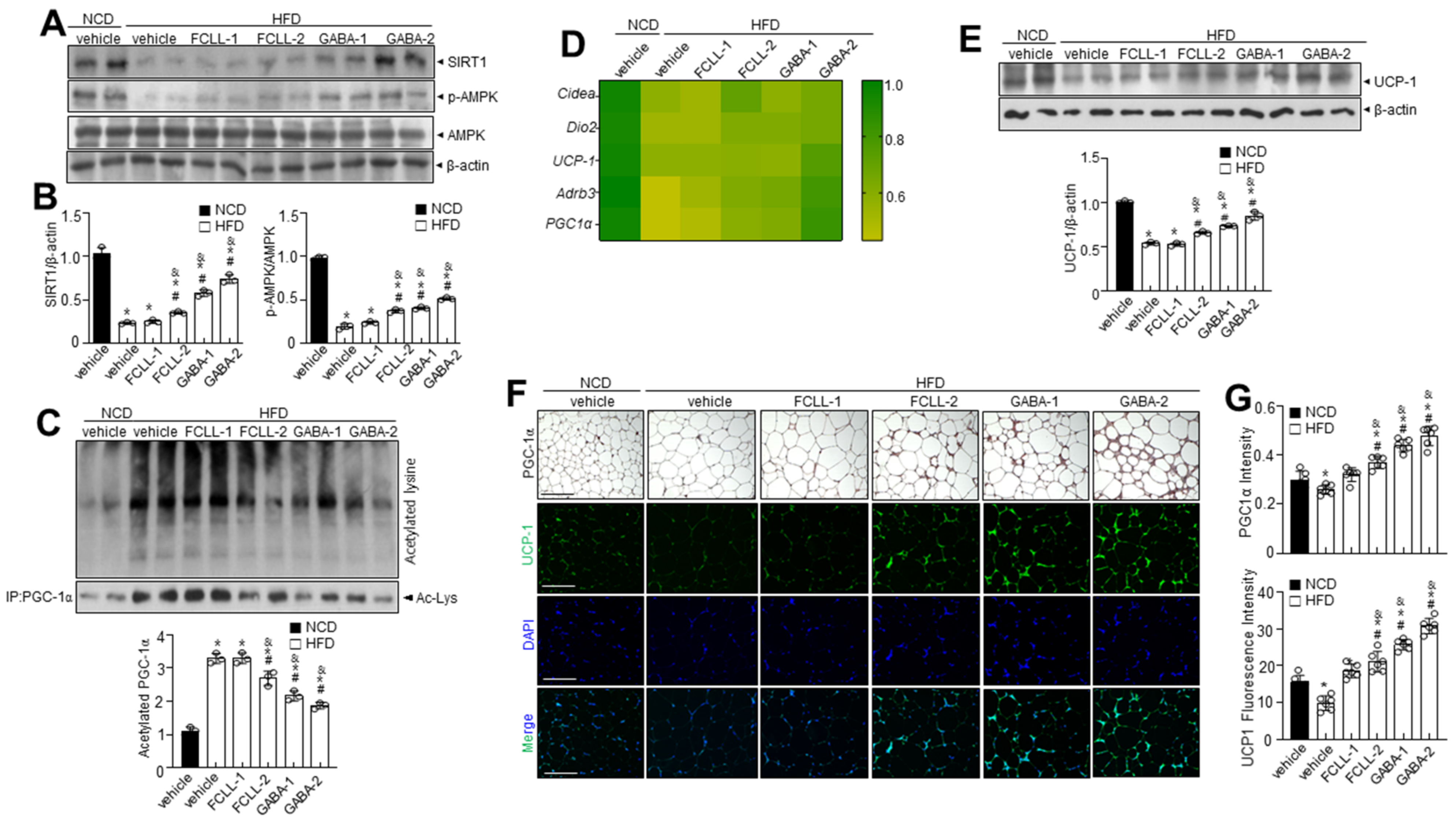 Nutrients 14 01680 g008