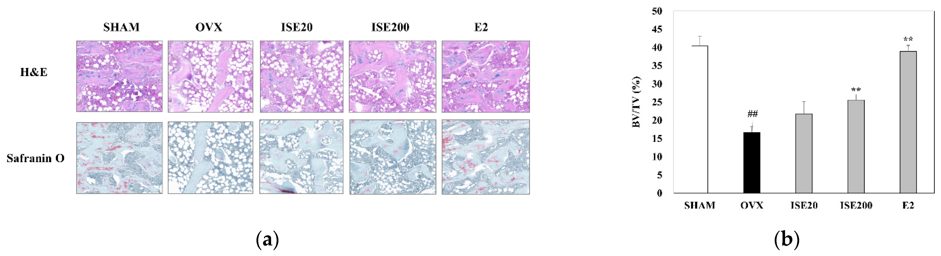 Nutrients 14 01683 g003