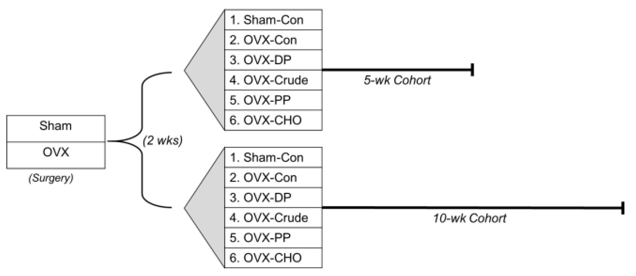 Nutrients 14 01685 g001 Nutrients 14 01685 g001