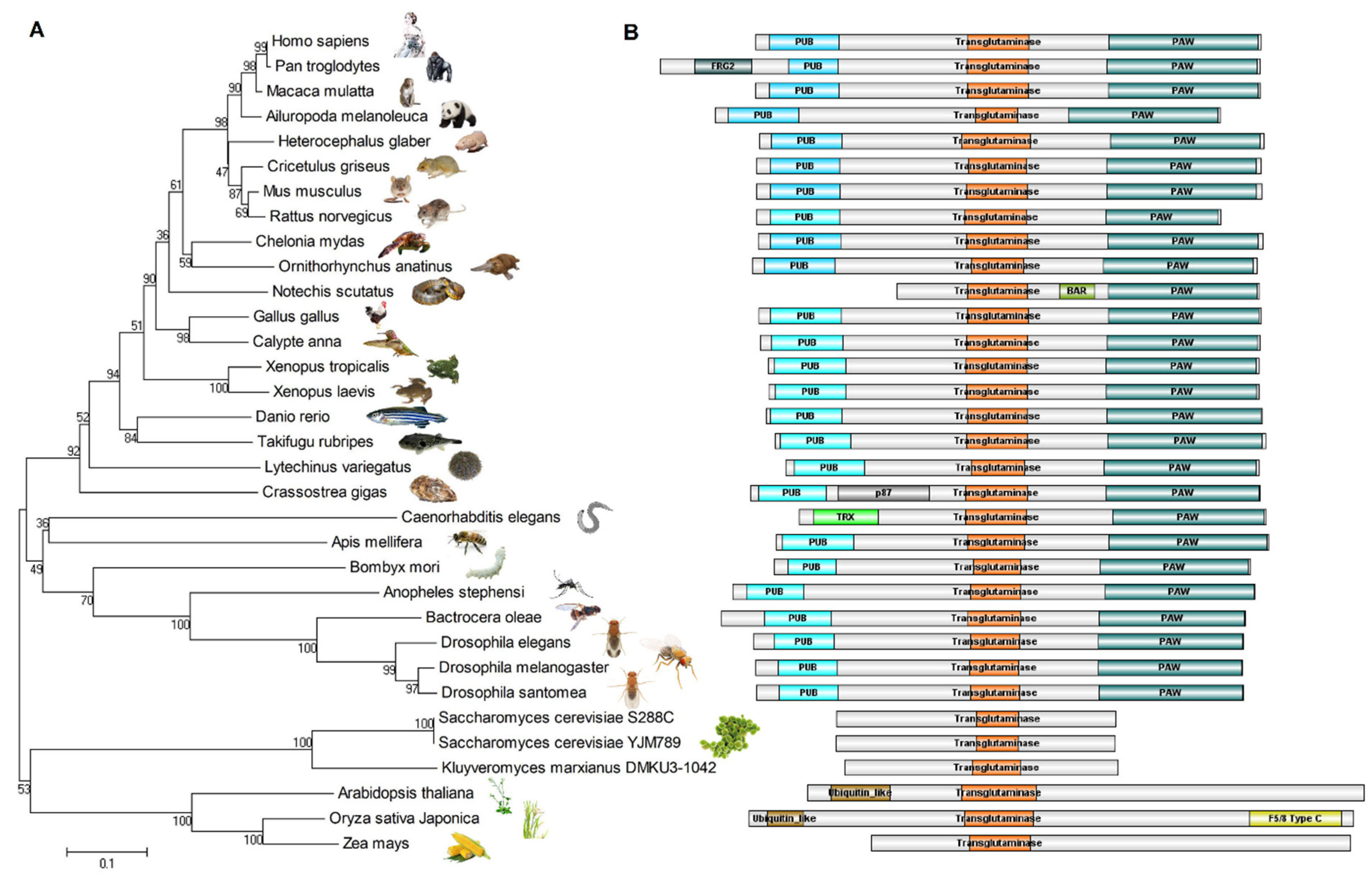 Nutrients 14 01690 g004