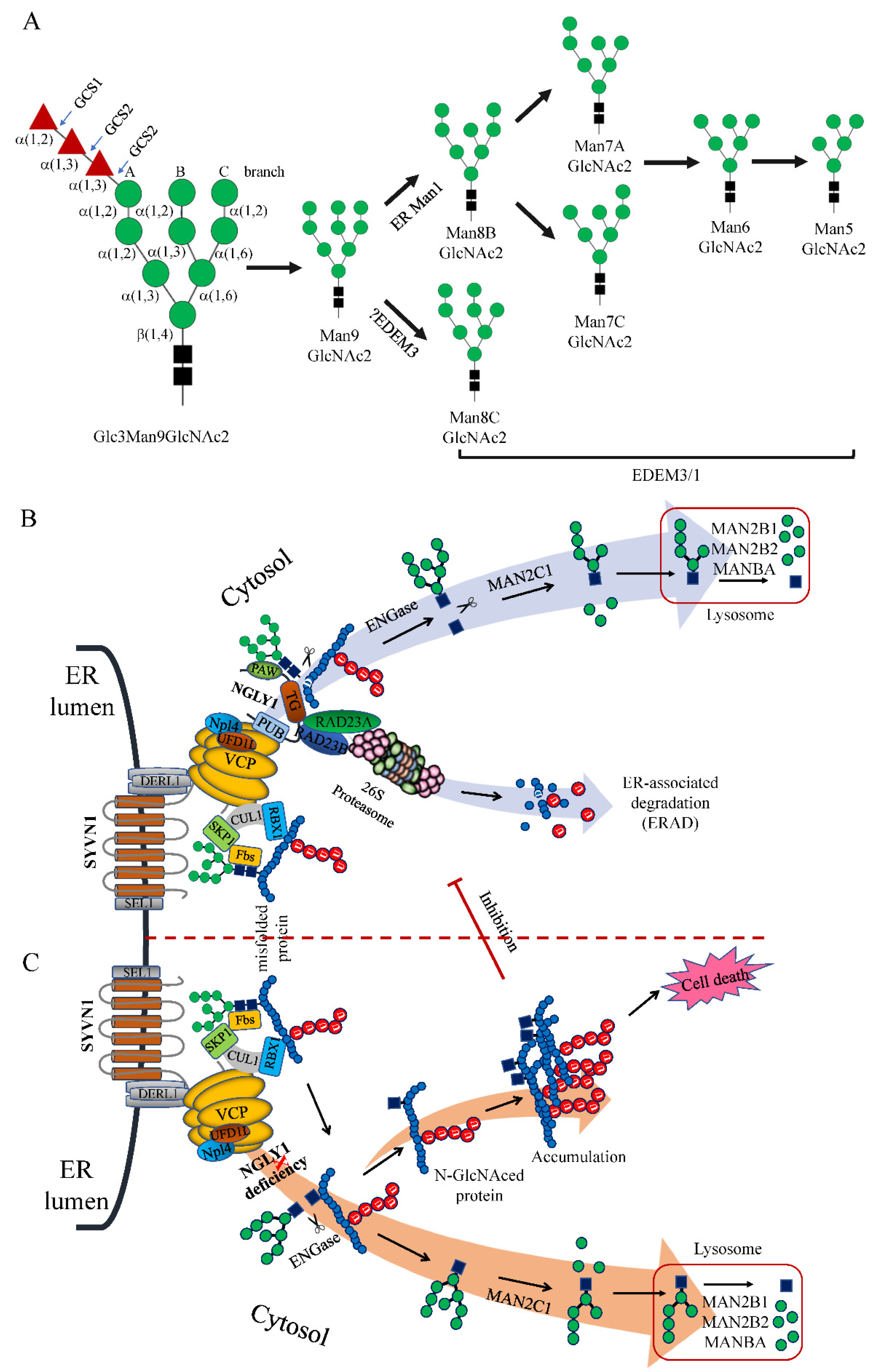 Nutrients 14 01690 g005