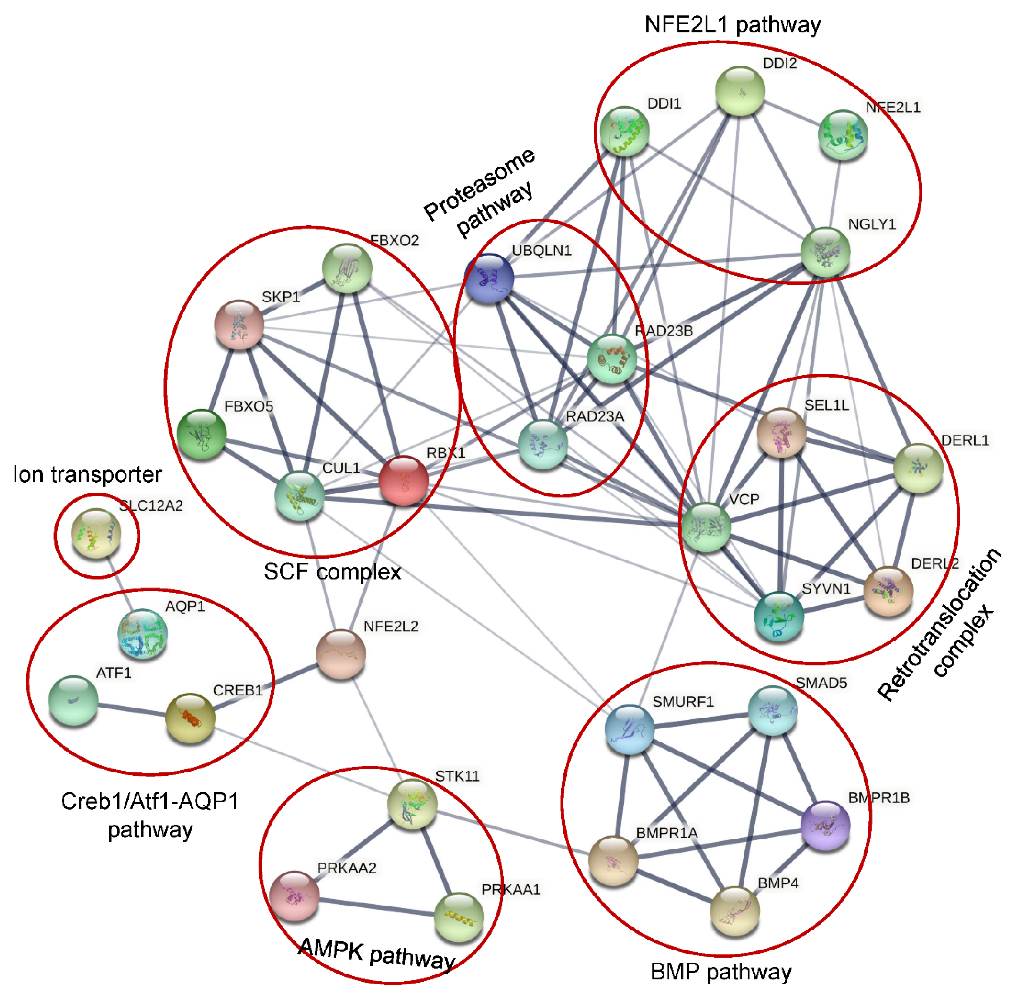 Nutrients 14 01690 g008