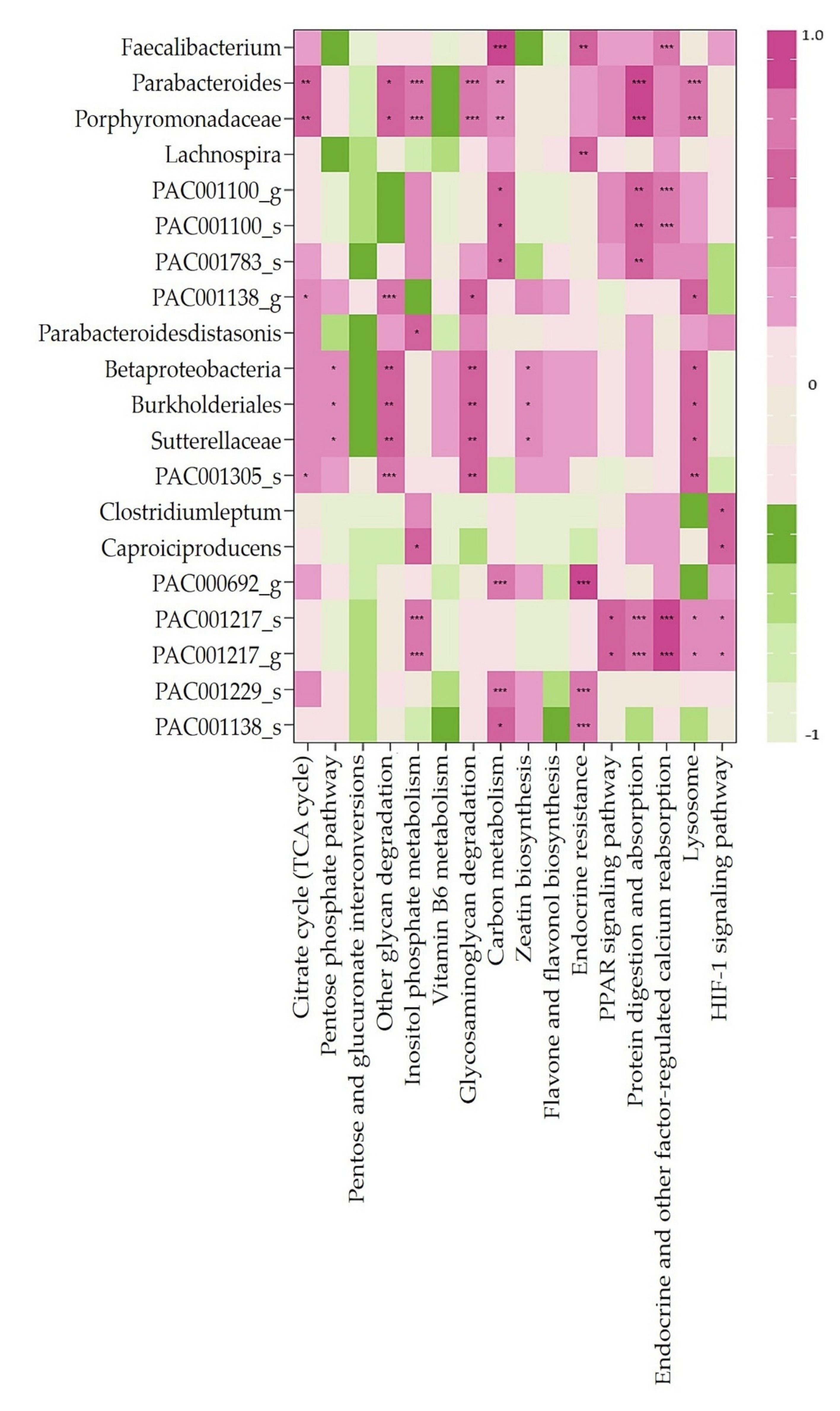 Nutrients 14 01693 g006