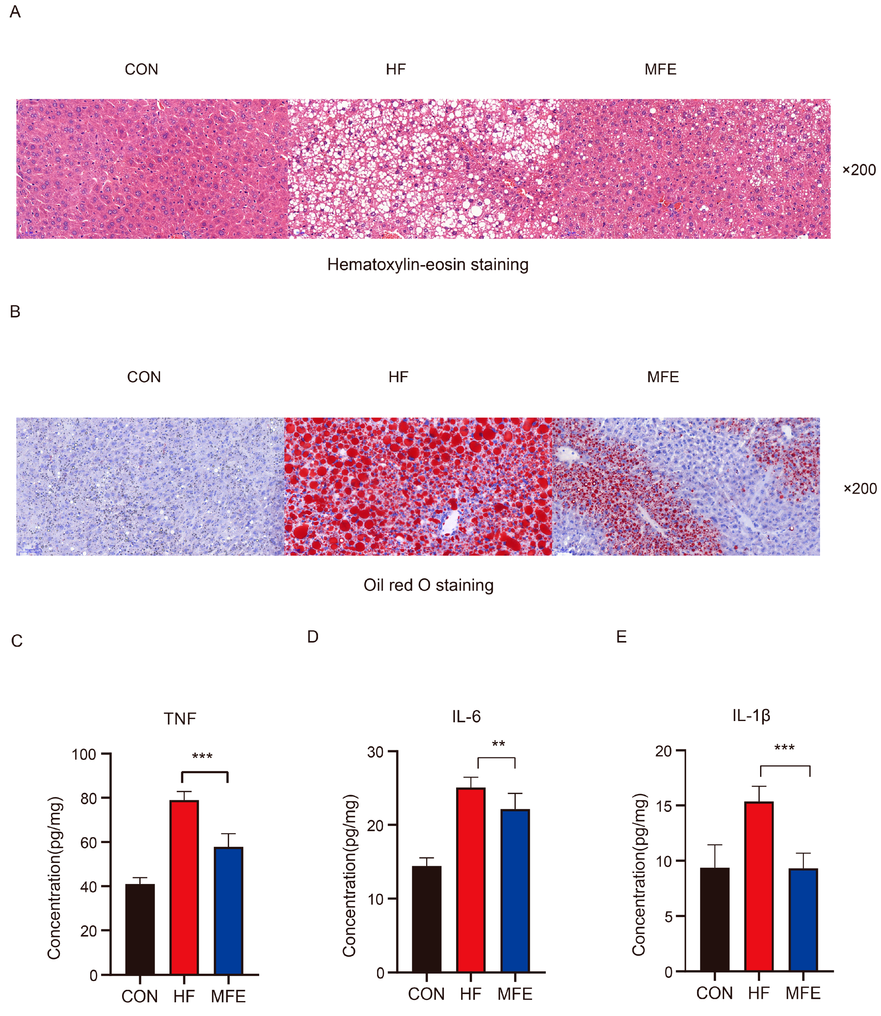Nutrients 14 01699 g001 550
