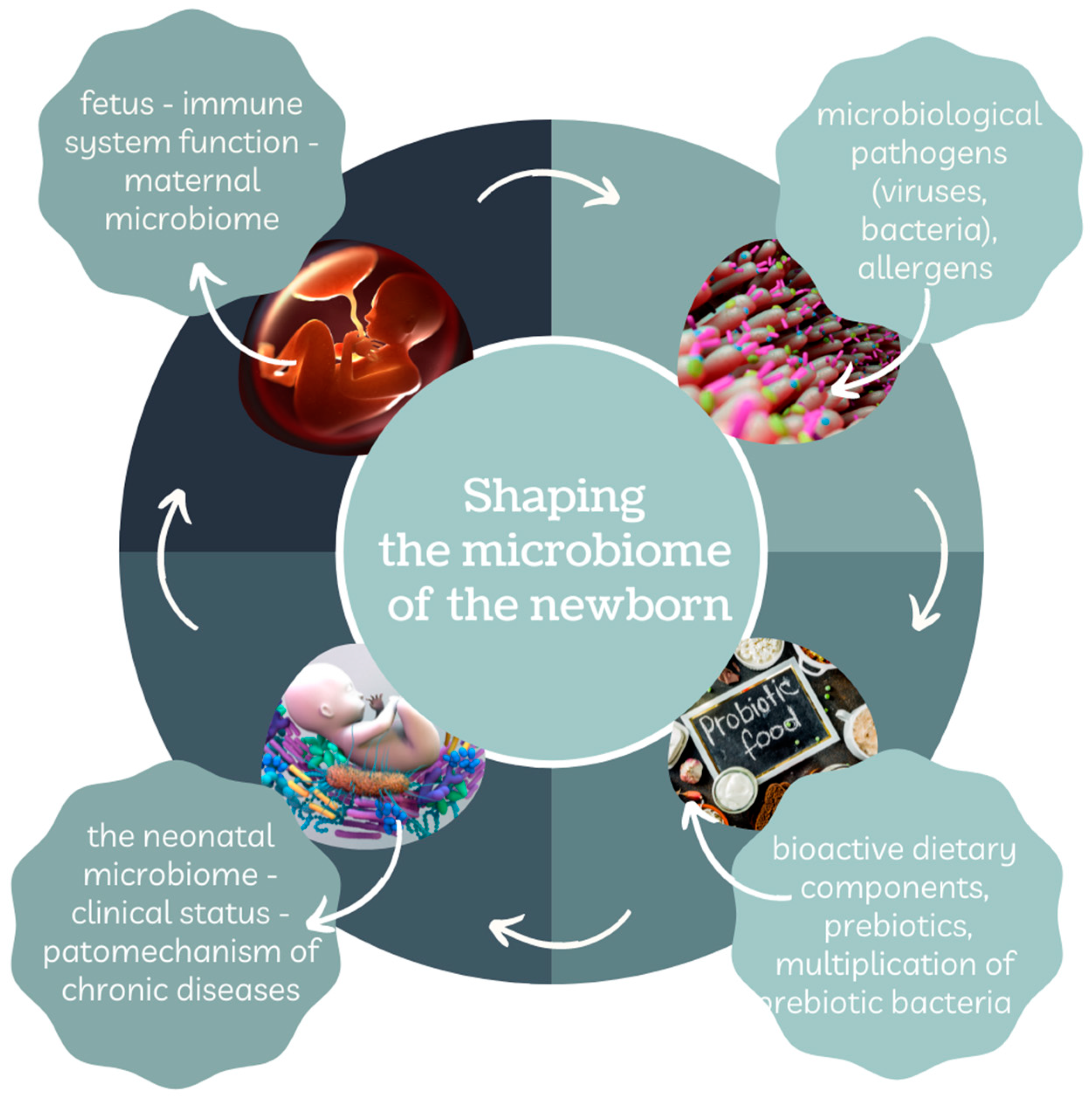 Nutrients 14 01702 g001