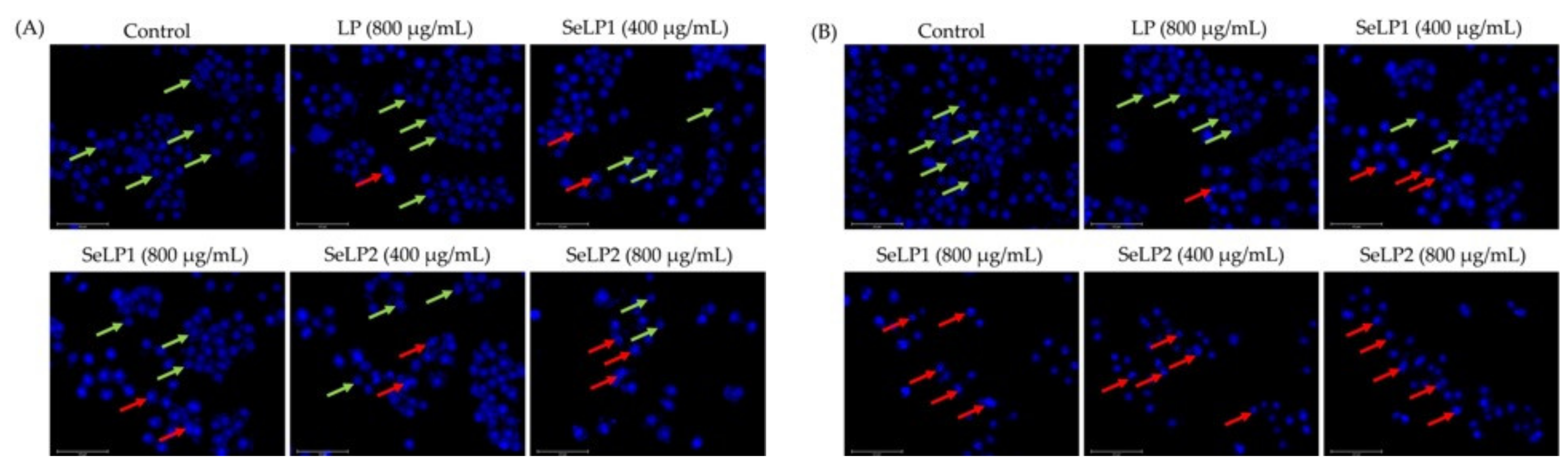 Nutrients 14 01710 g002
