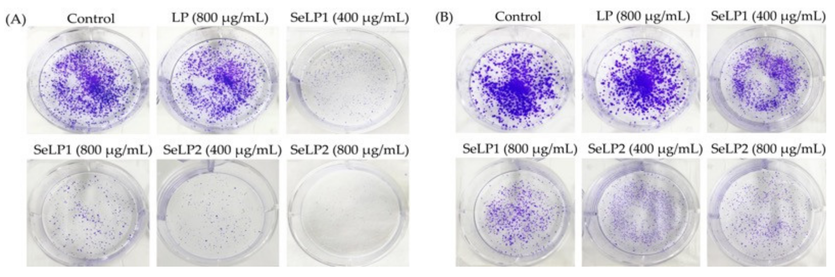 Nutrients 14 01710 g003