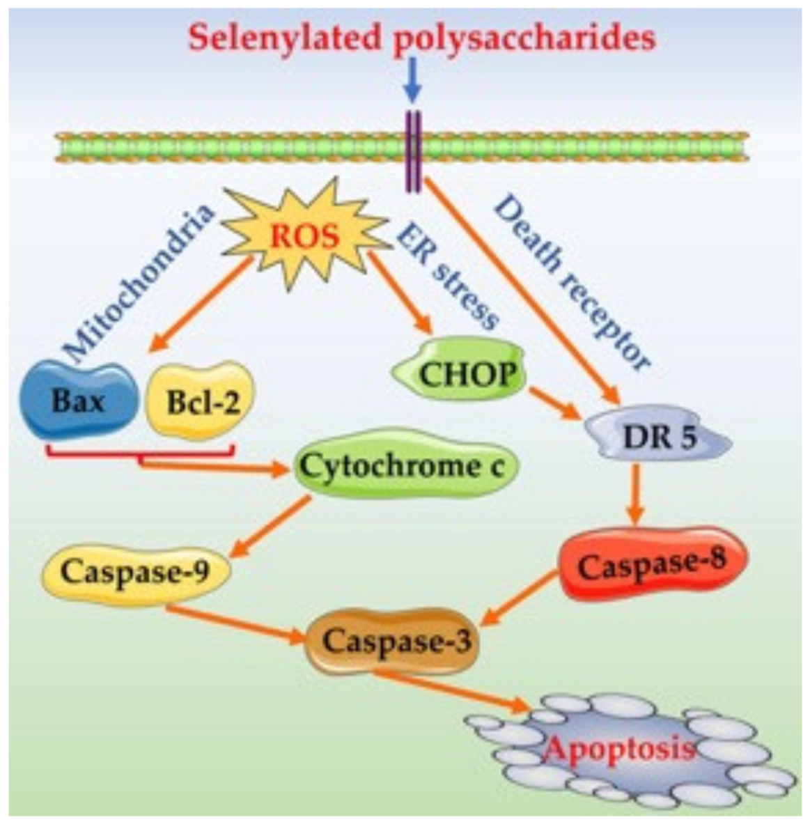 Nutrients 14 01710 g007