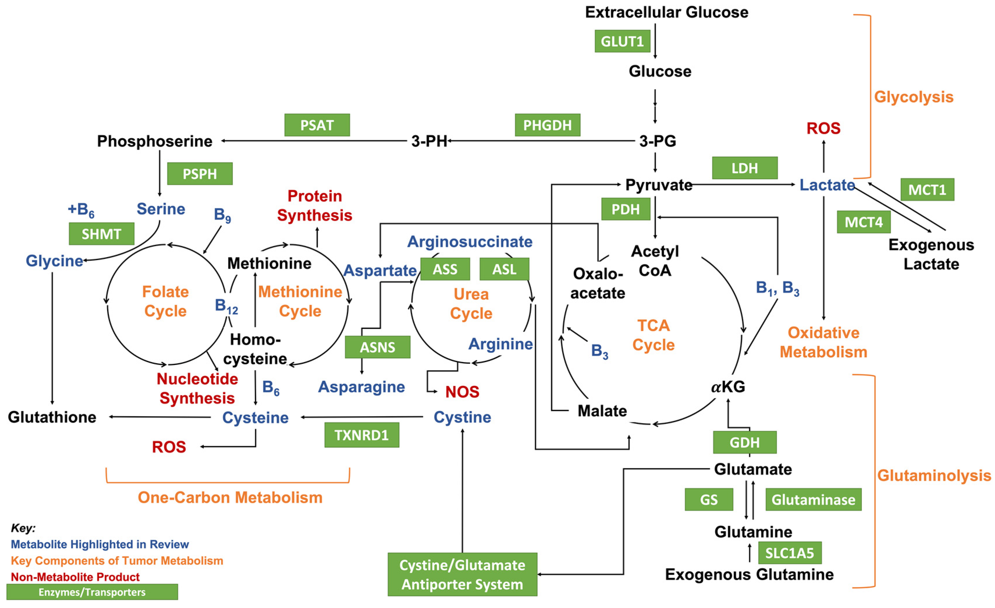 Nutrients 14 01722 g001 550