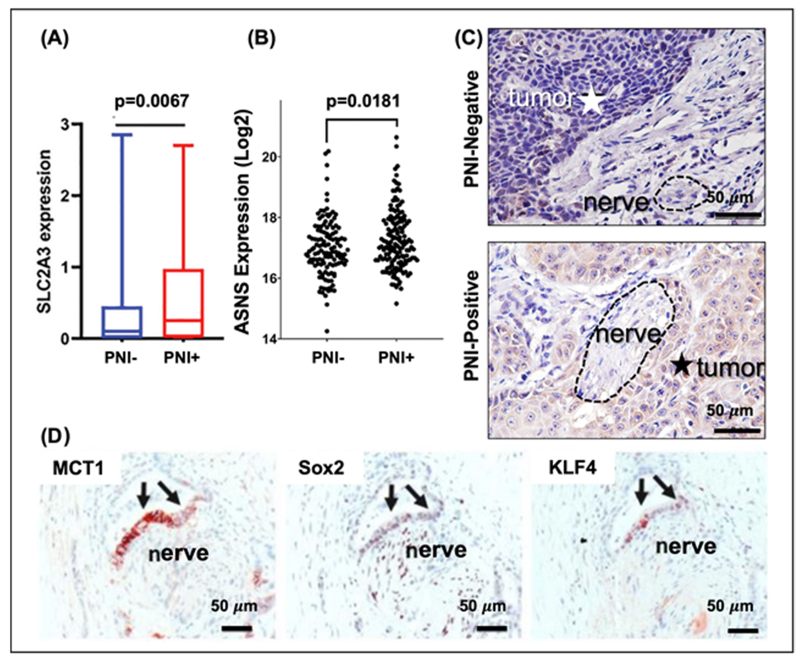 Nutrients 14 01722 g002 550
