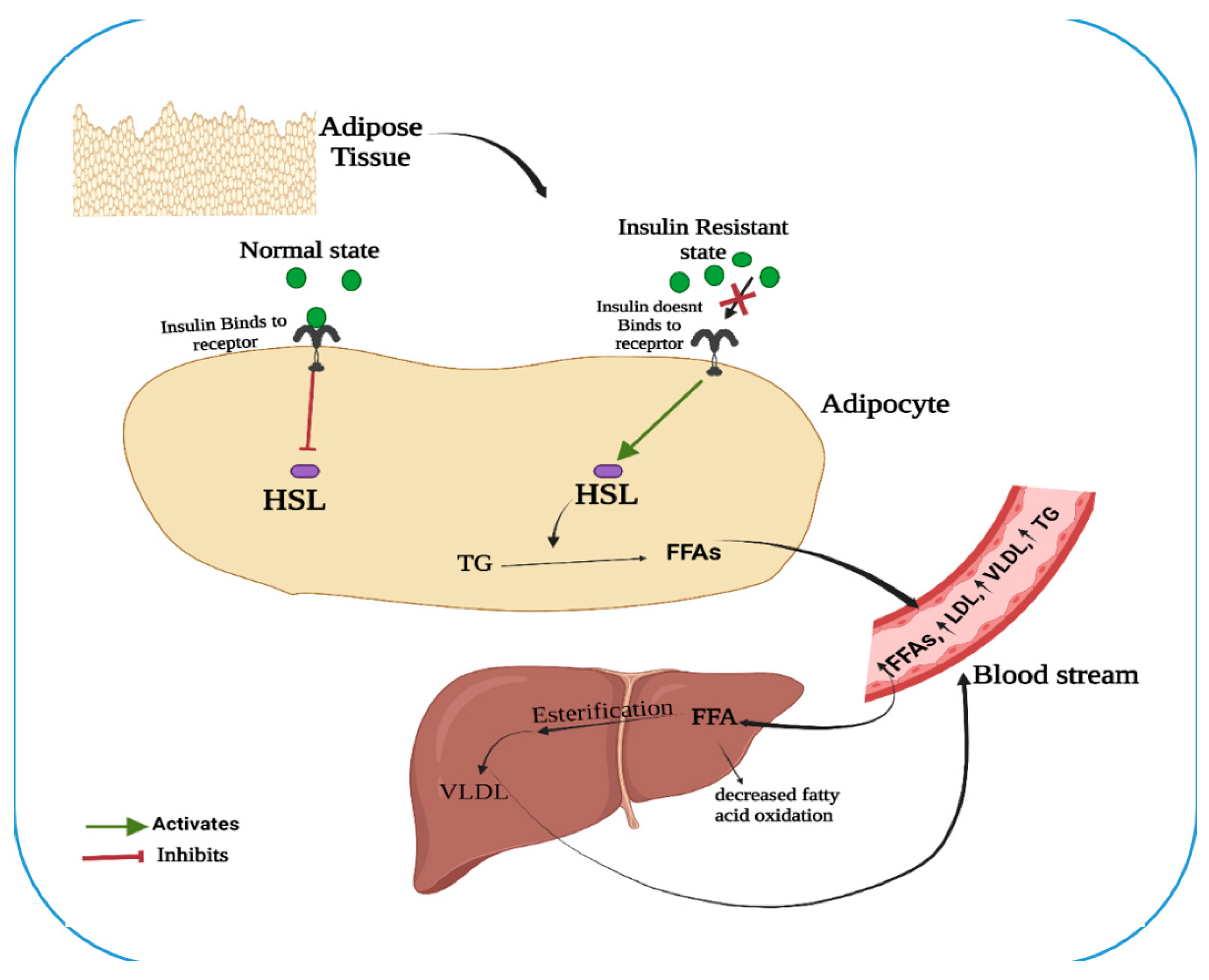 Nutrients 14 01723 g001 550