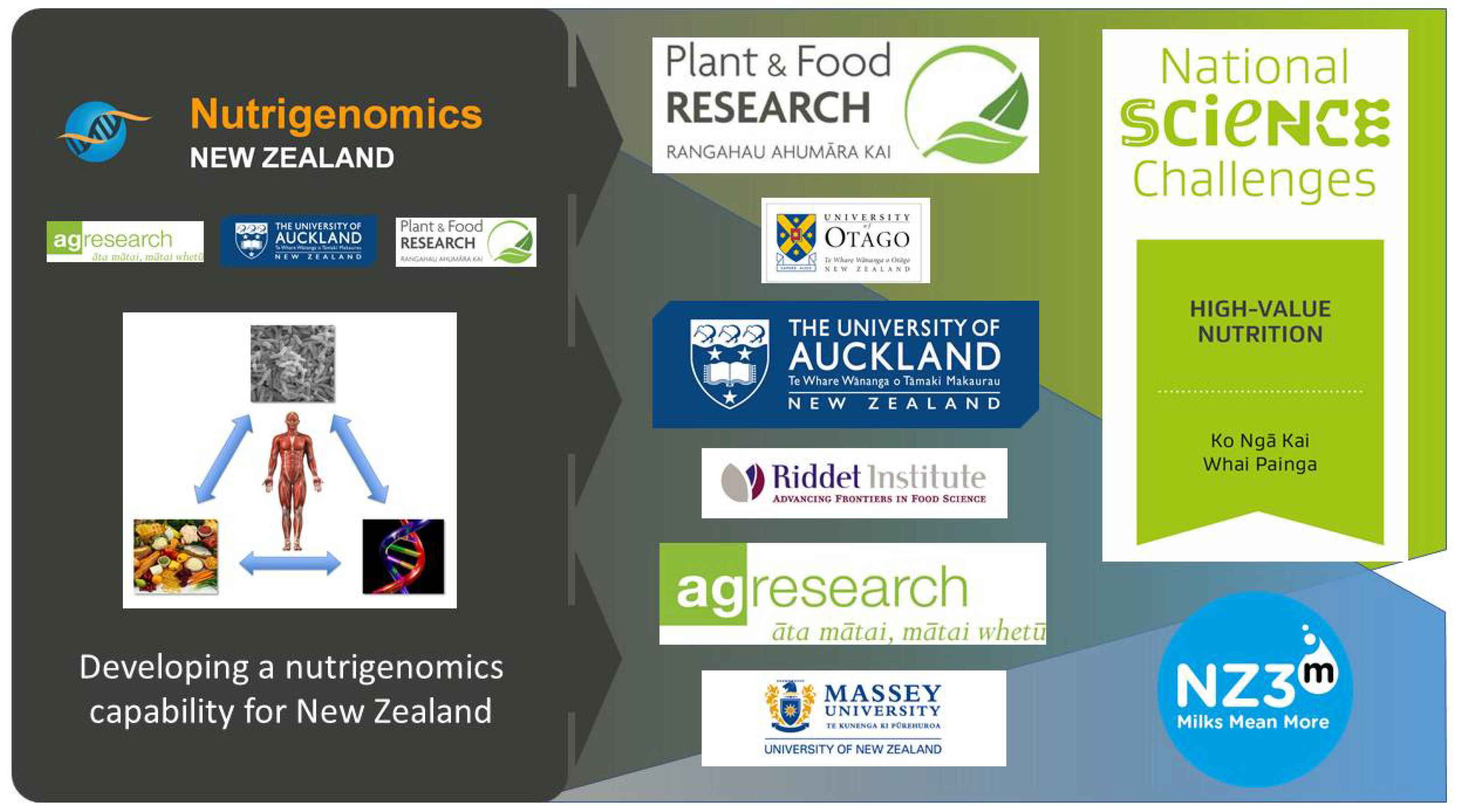 Nutrients 14 01743 g001