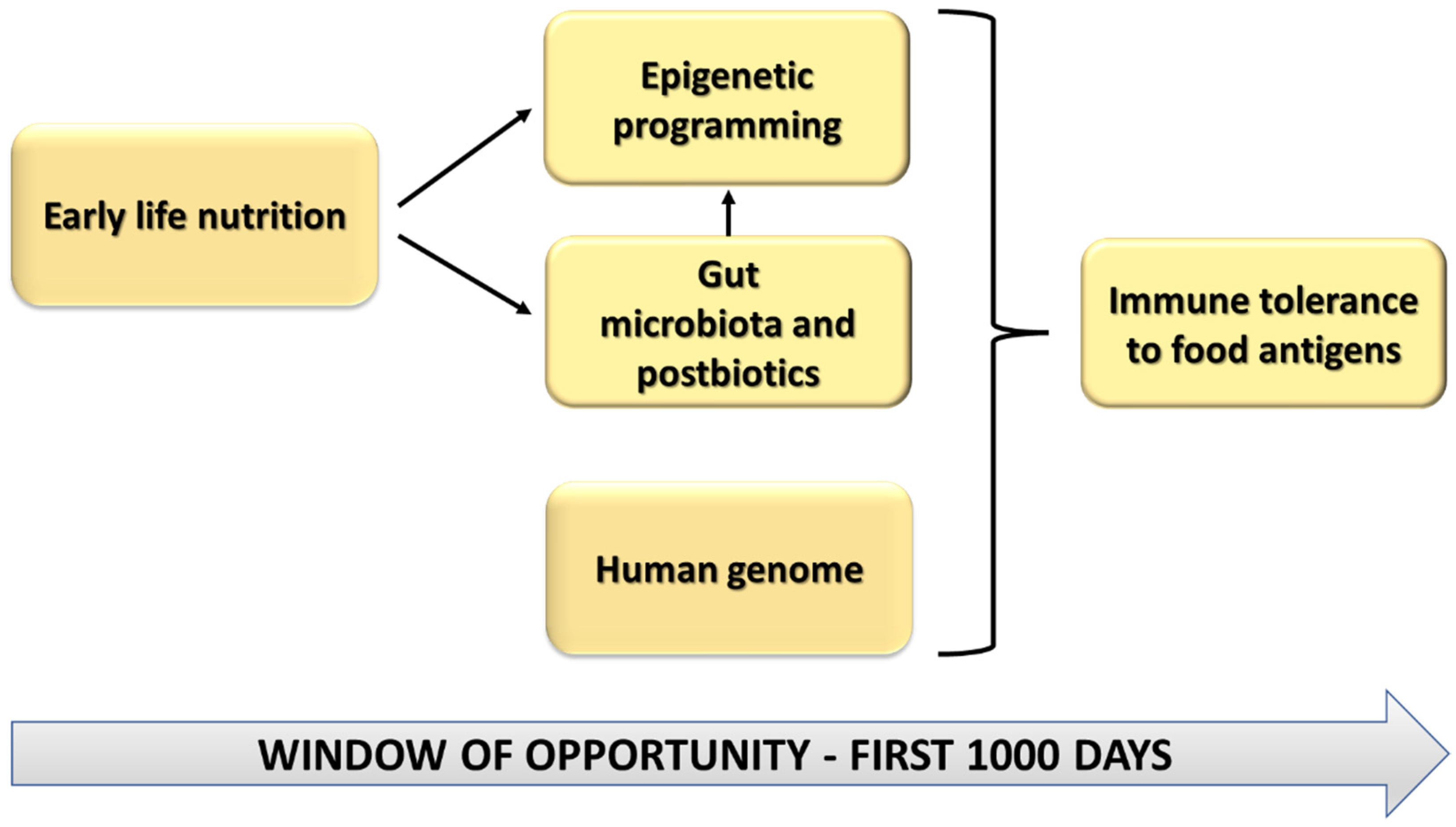 Nutrients 14 01766 g001 550
