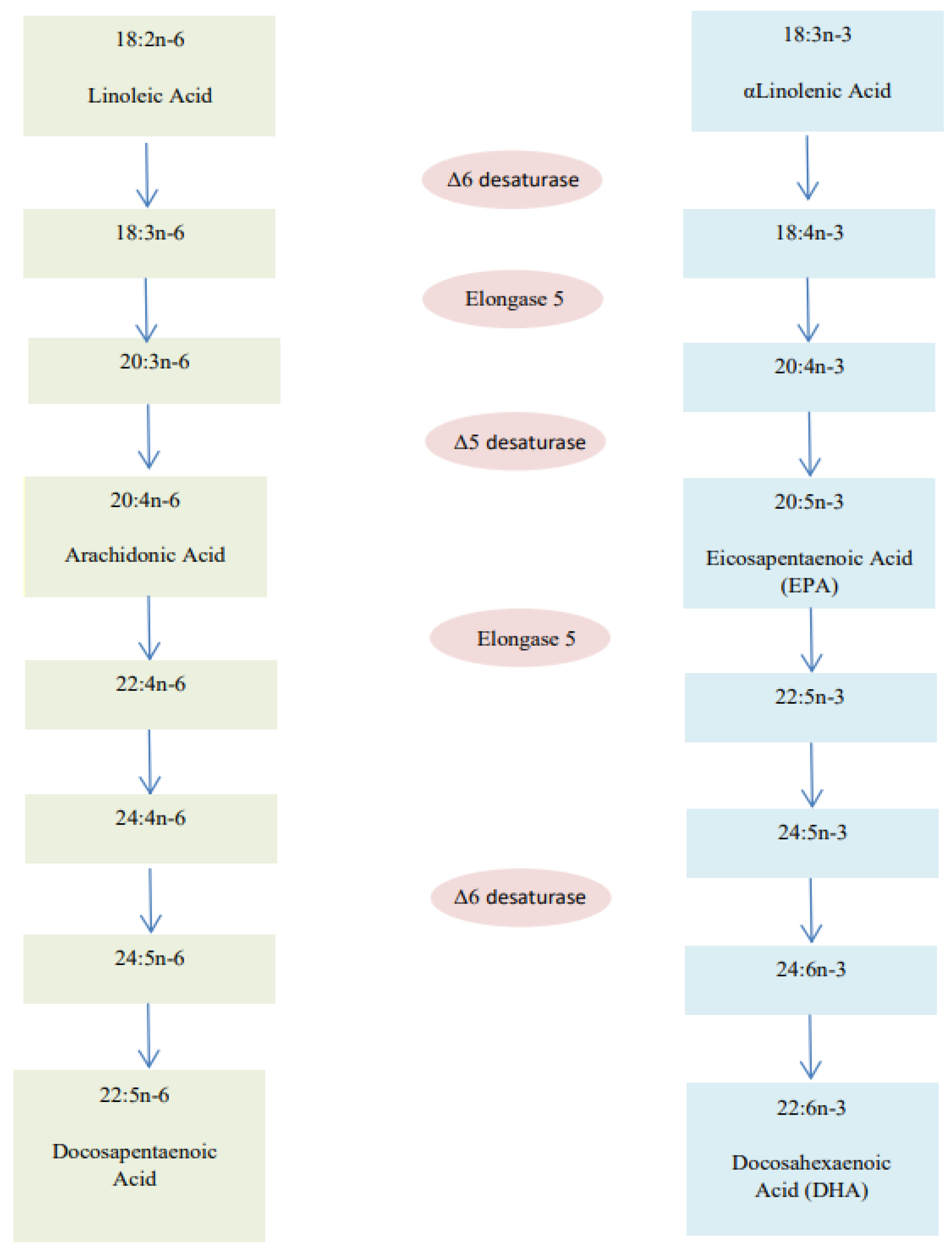 Nutrients 14 01766 g002 550