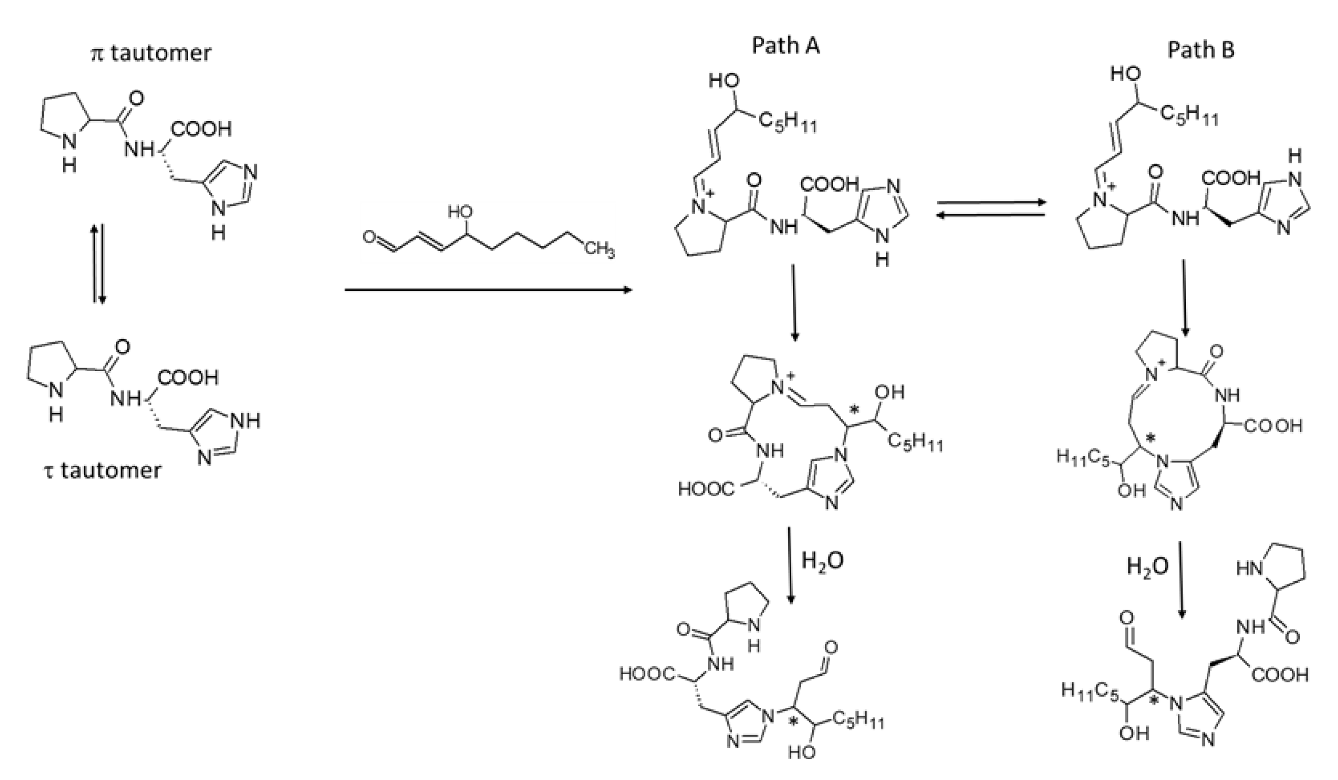 Nutrients 14 01775 g002