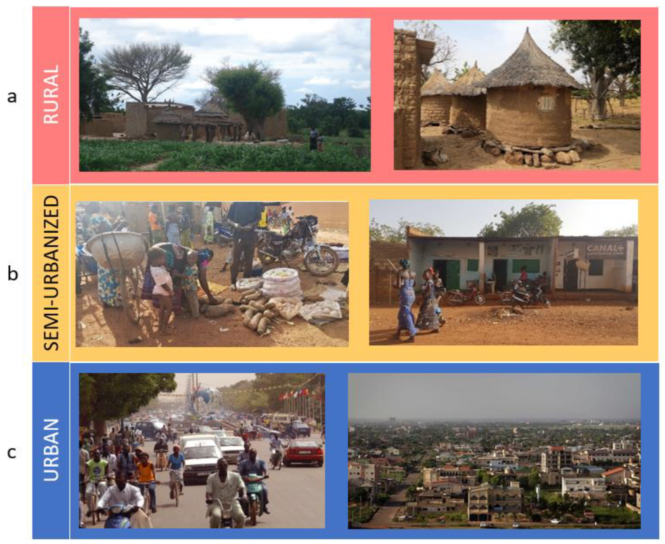 Nutrients 14 01782 g002 550