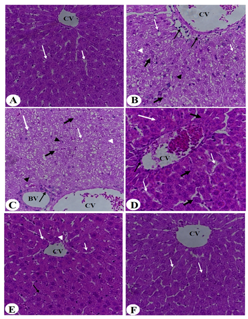 Nutrients 14 01791 g008