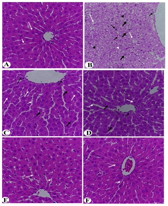 Nutrients 14 01791 g009