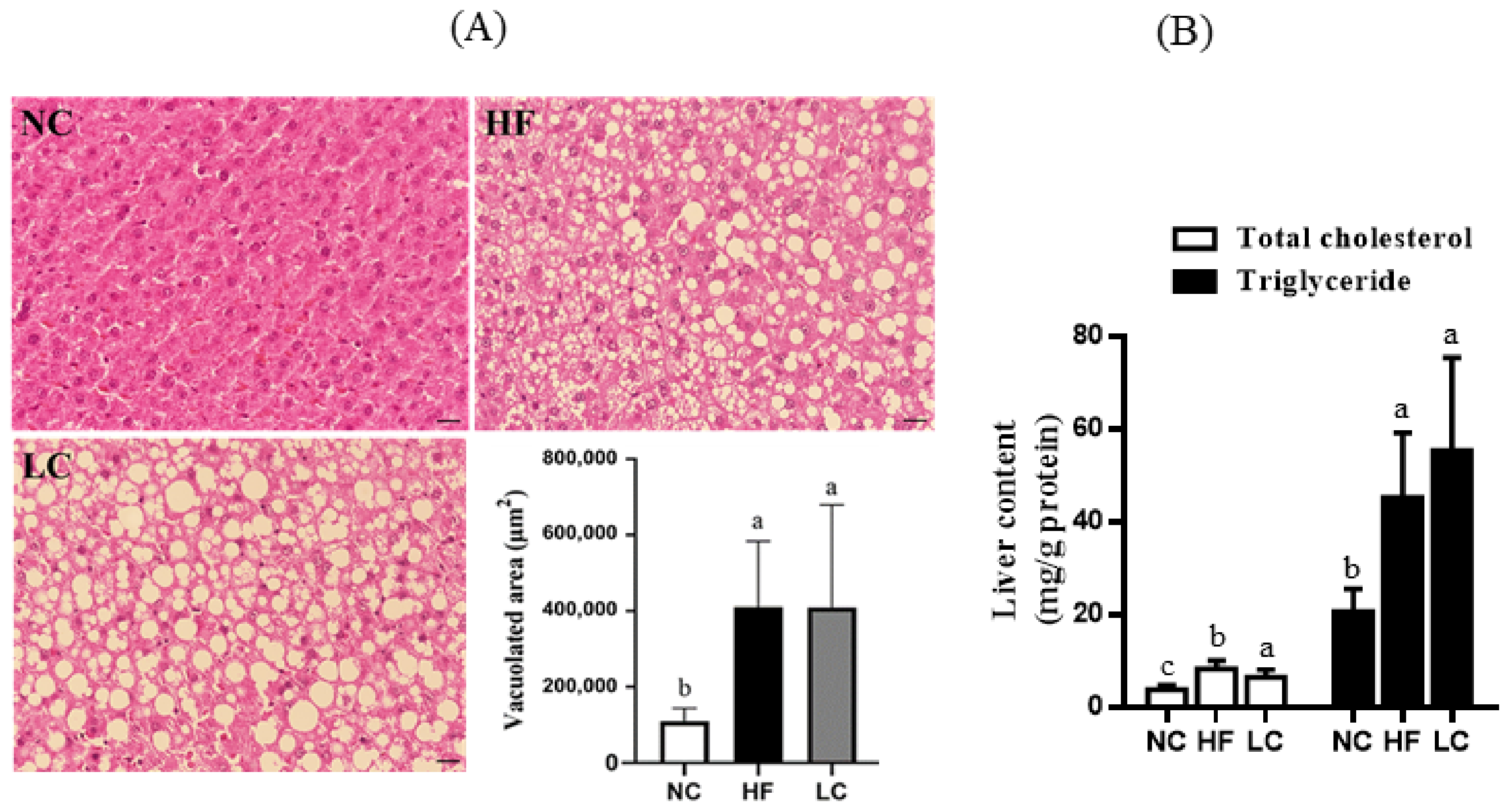 Nutrients 14 01796 g003 Nutrients 14 01796 g003