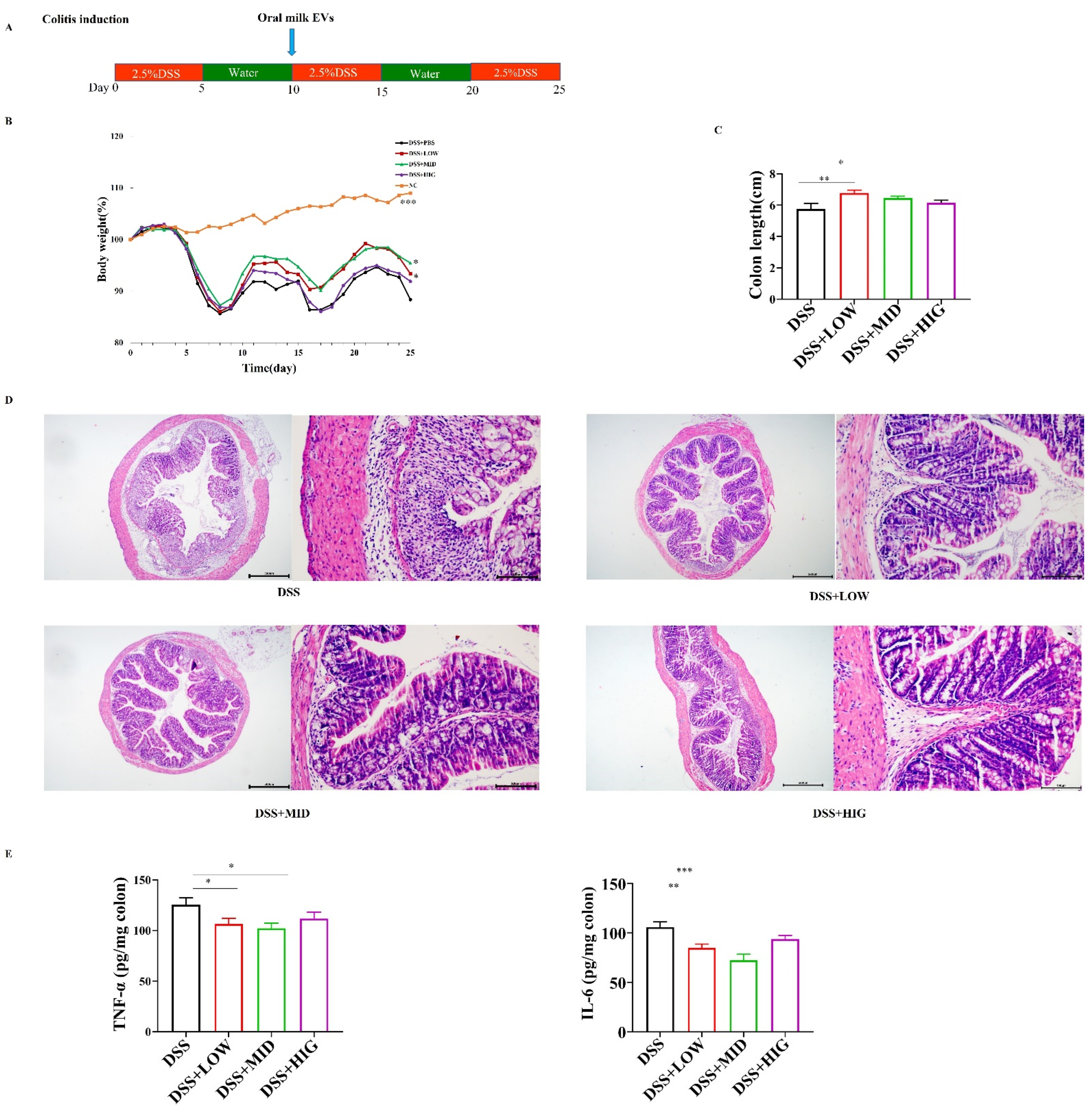 Nutrients 14 01808 g001 550