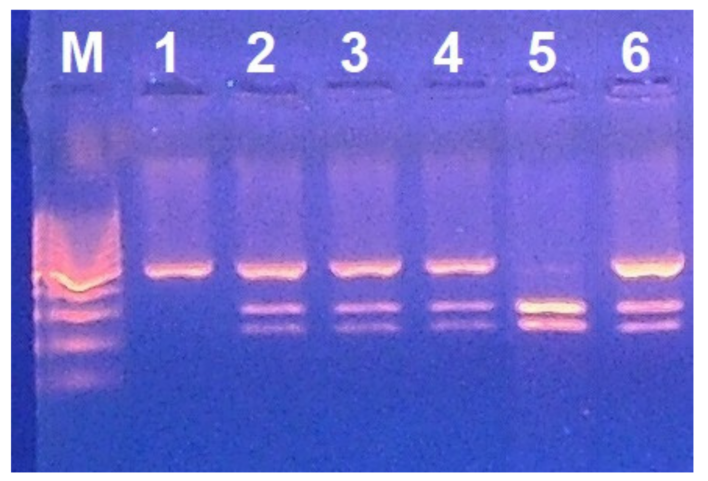 Nutrients 14 01815 g001