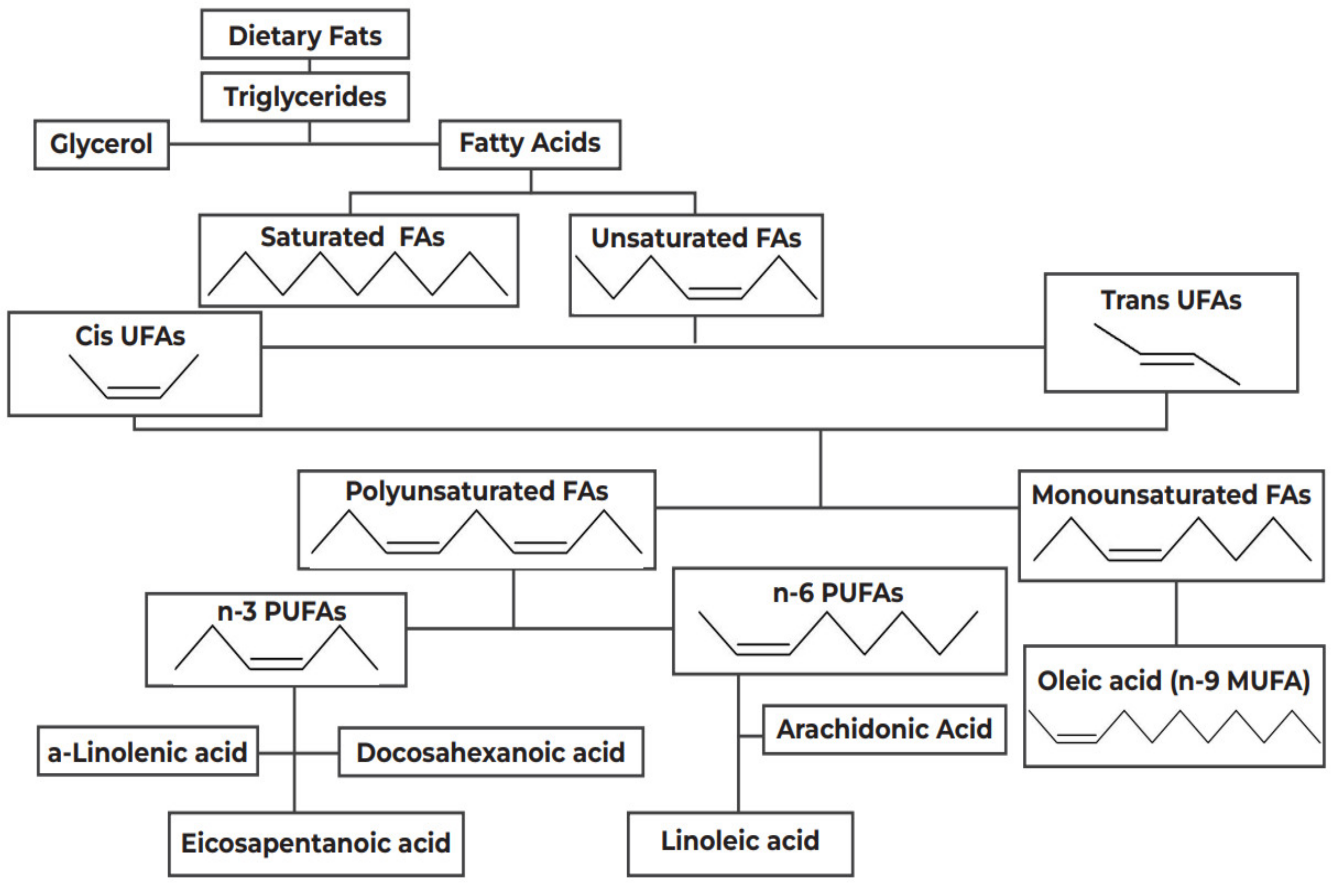 Nutrients 14 01825 g001 Nutrients 14 01825 g001