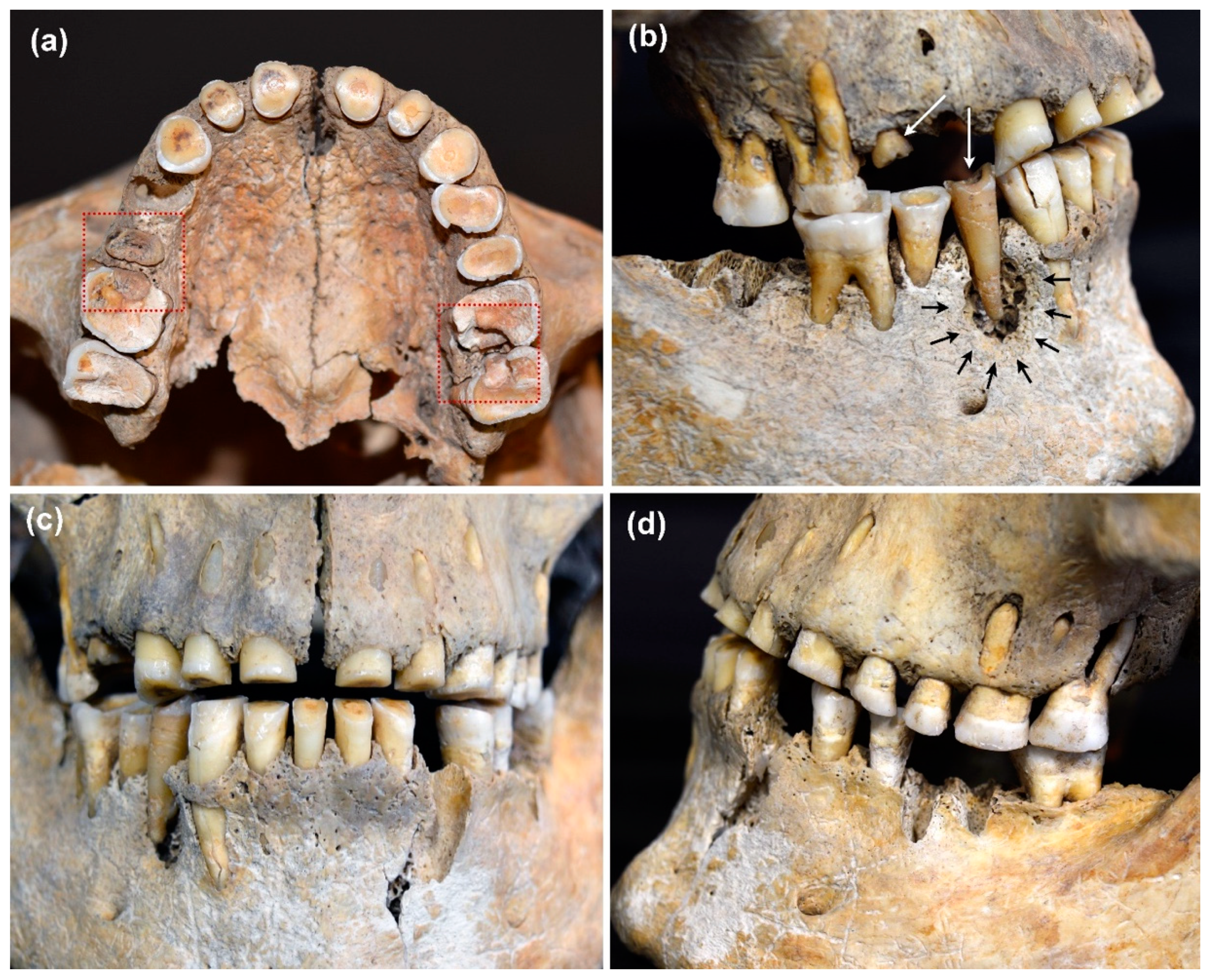 Nutrients 14 01831 g003 550