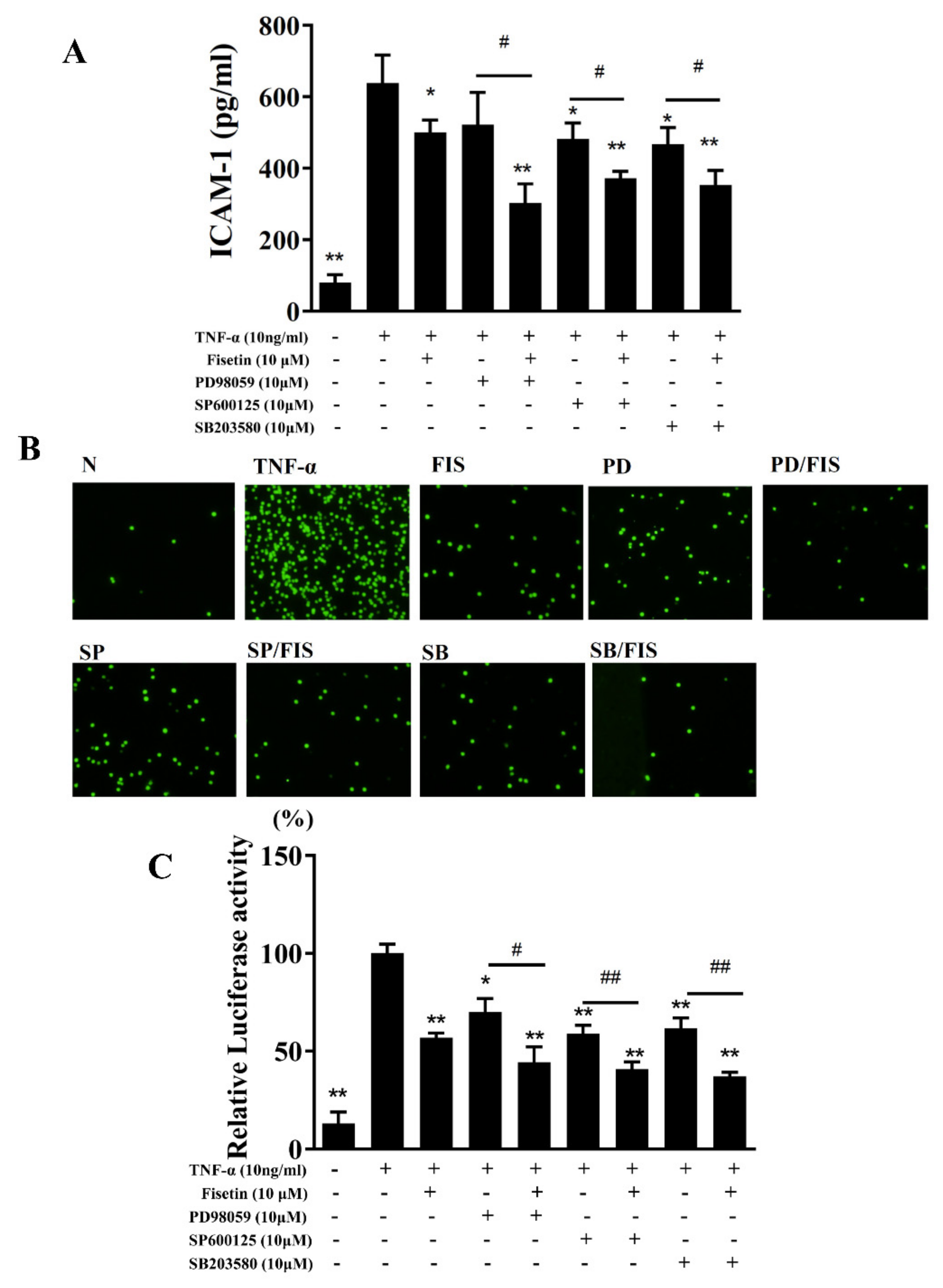 Nutrients 14 01841 g006 550